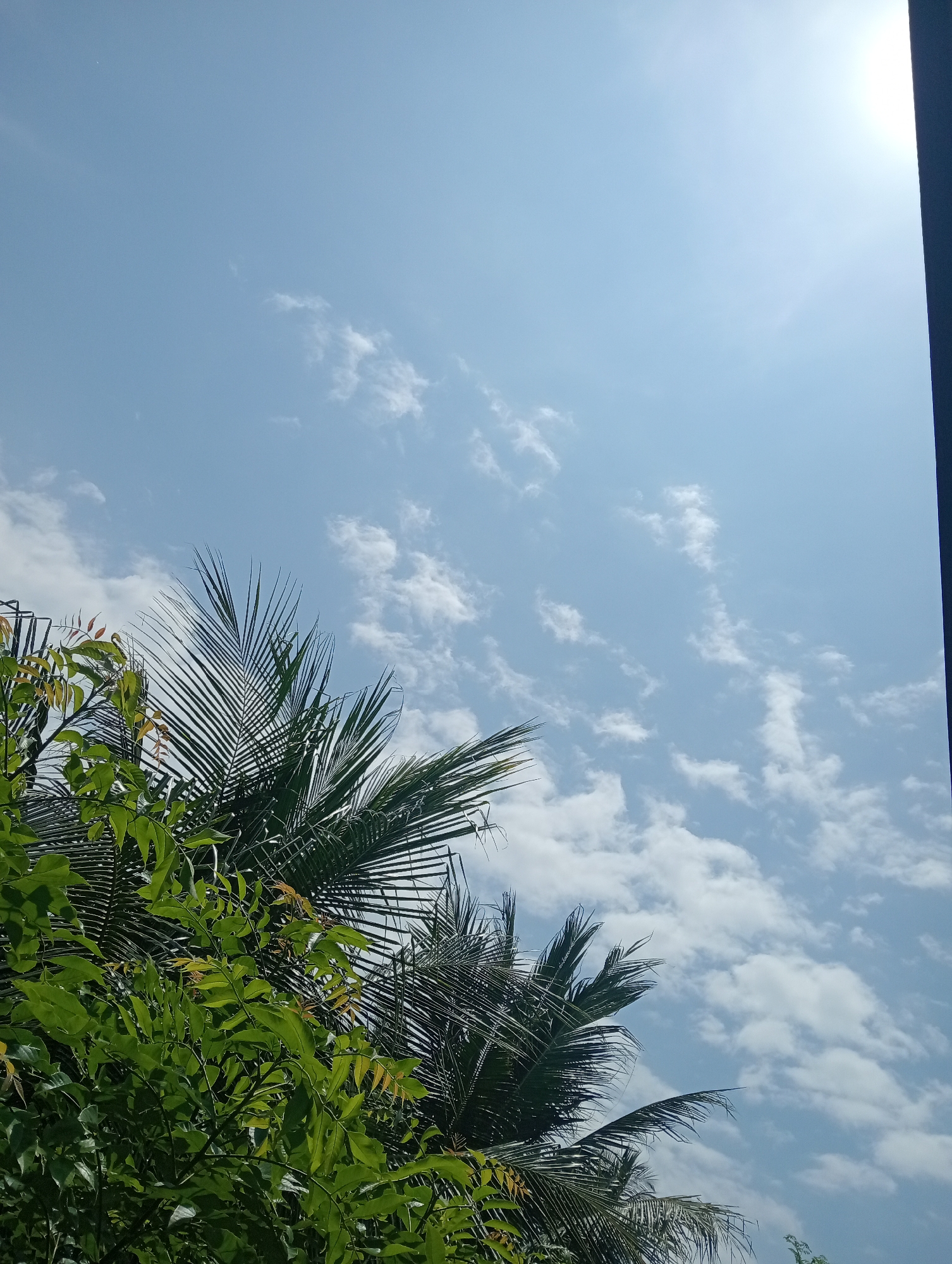 The image captures a bright, sunny day with a clear blue sky dotted with scattered white clouds. In the foreground, lush green foliage and the fronds of a palm tree are visible, framing the upper left portion of the scene. A dark vertical element, possibly a building or a pole, is present on the far right edge of the image, partially obscuring the sky. The overall impression is a tropical outdoor scene, typical of a location like Baratpayaitek, Indonesia. No people or actions are depicted.