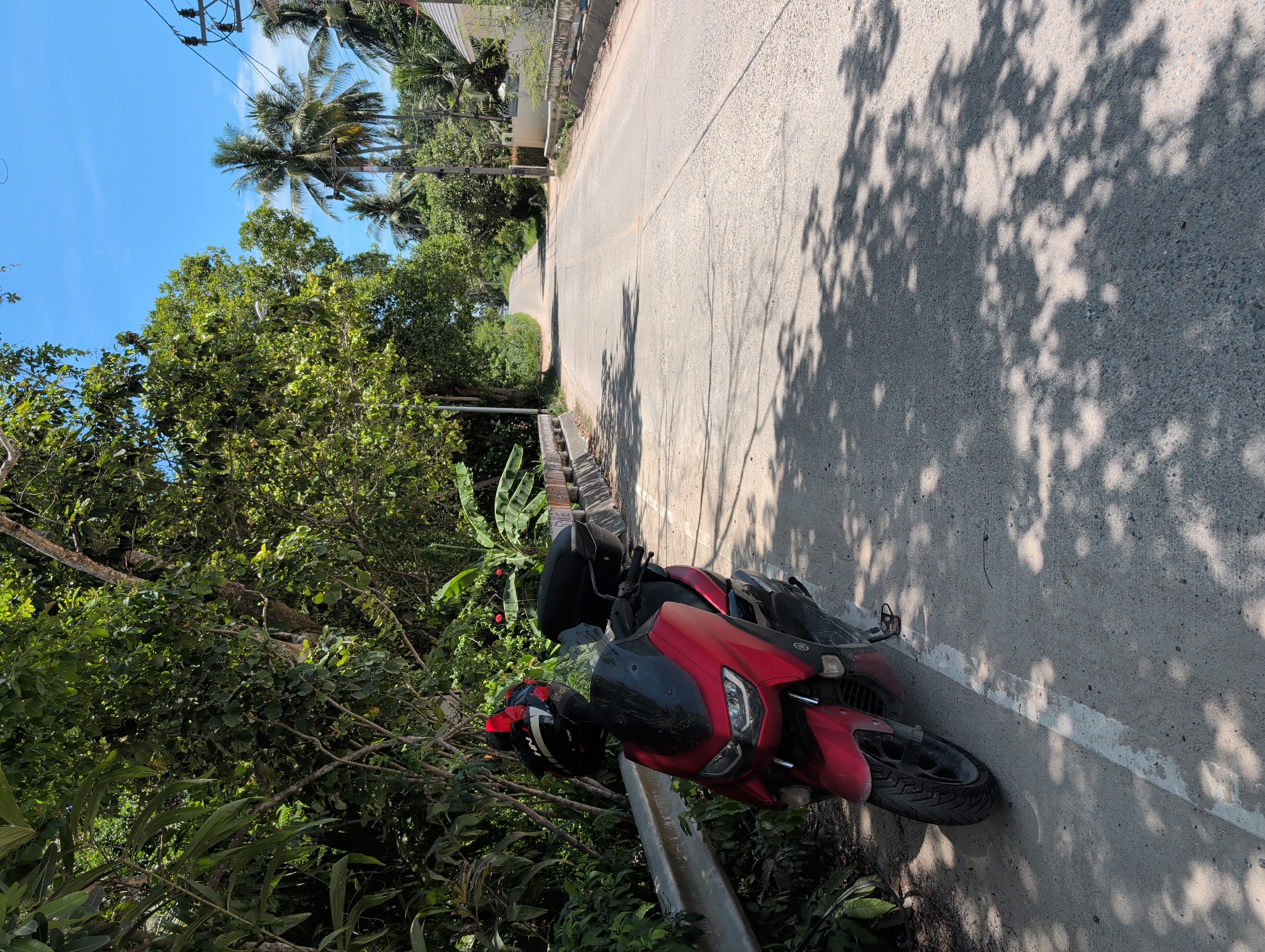 The image depicts a red and black Yamaha motorcycle parked on the side of a road in ตำบลเกาะพะงัน, Thailand. The motorcycle is positioned near a gray guardrail, bordered by dense green foliage. A black helmet with red accents rests on the motorcycle's seat. The asphalt road curves gently uphill, covered in dappled shadows from overhead trees. In the distance, palm trees and buildings are visible against a clear, blue sky. Utility poles with power lines are also present.