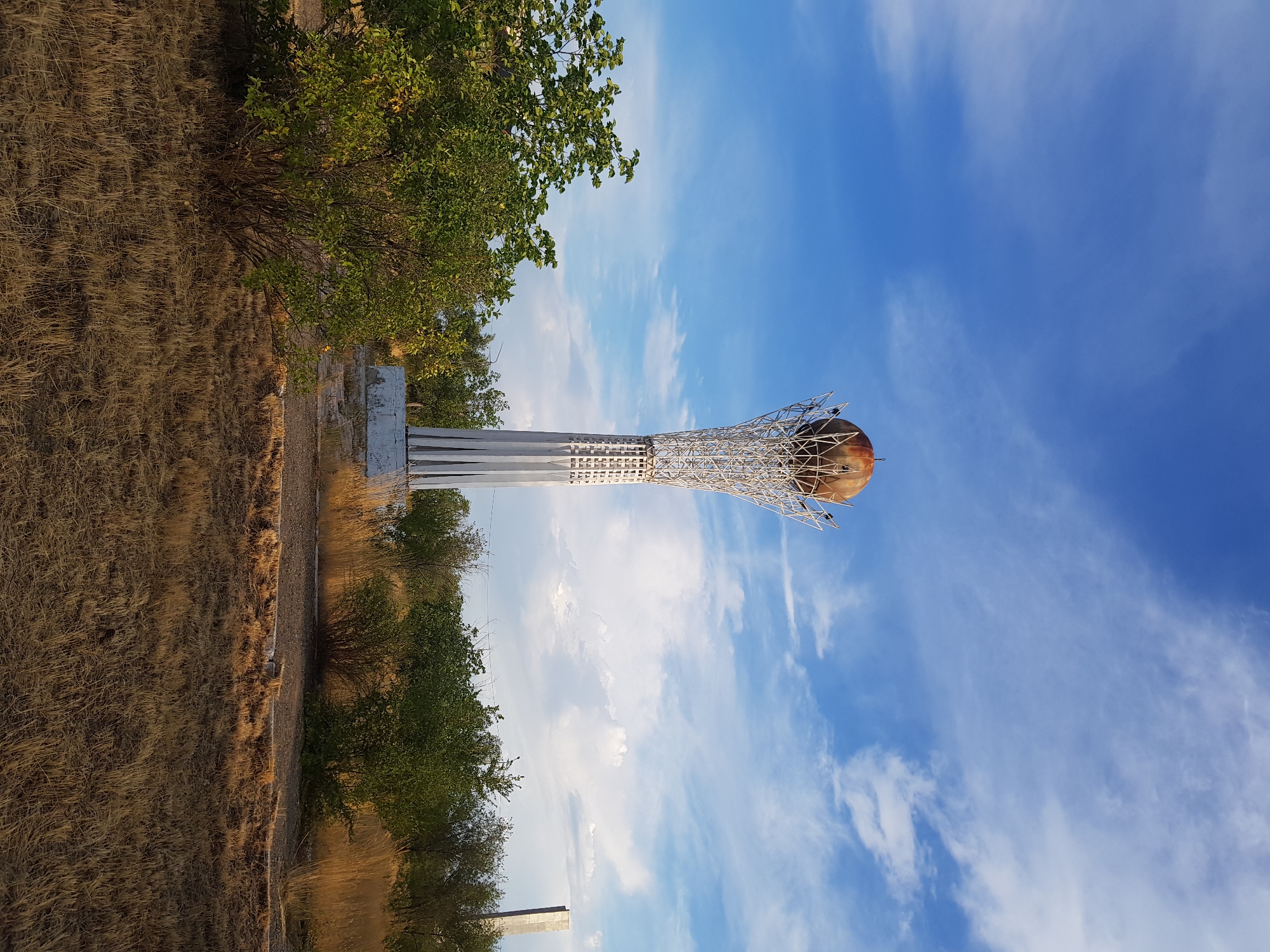 The image shows the Bayterek Monument in Kurchatov, Kazakhstan, under a partly cloudy blue sky. The monument is a tall, slender structure with a white, lattice-like design supporting a large, reddish-brown sphere at its apex. The monument stands in an open area with dry, yellow grass covering the ground. To the left of the monument, there is a dense green bush. In the background, there are more trees and some low-lying vegetation, as well as a tall, rectangular concrete structure on the far right. The lighting suggests it is either early morning or late afternoon. There are no people or animals visible in the scene.
