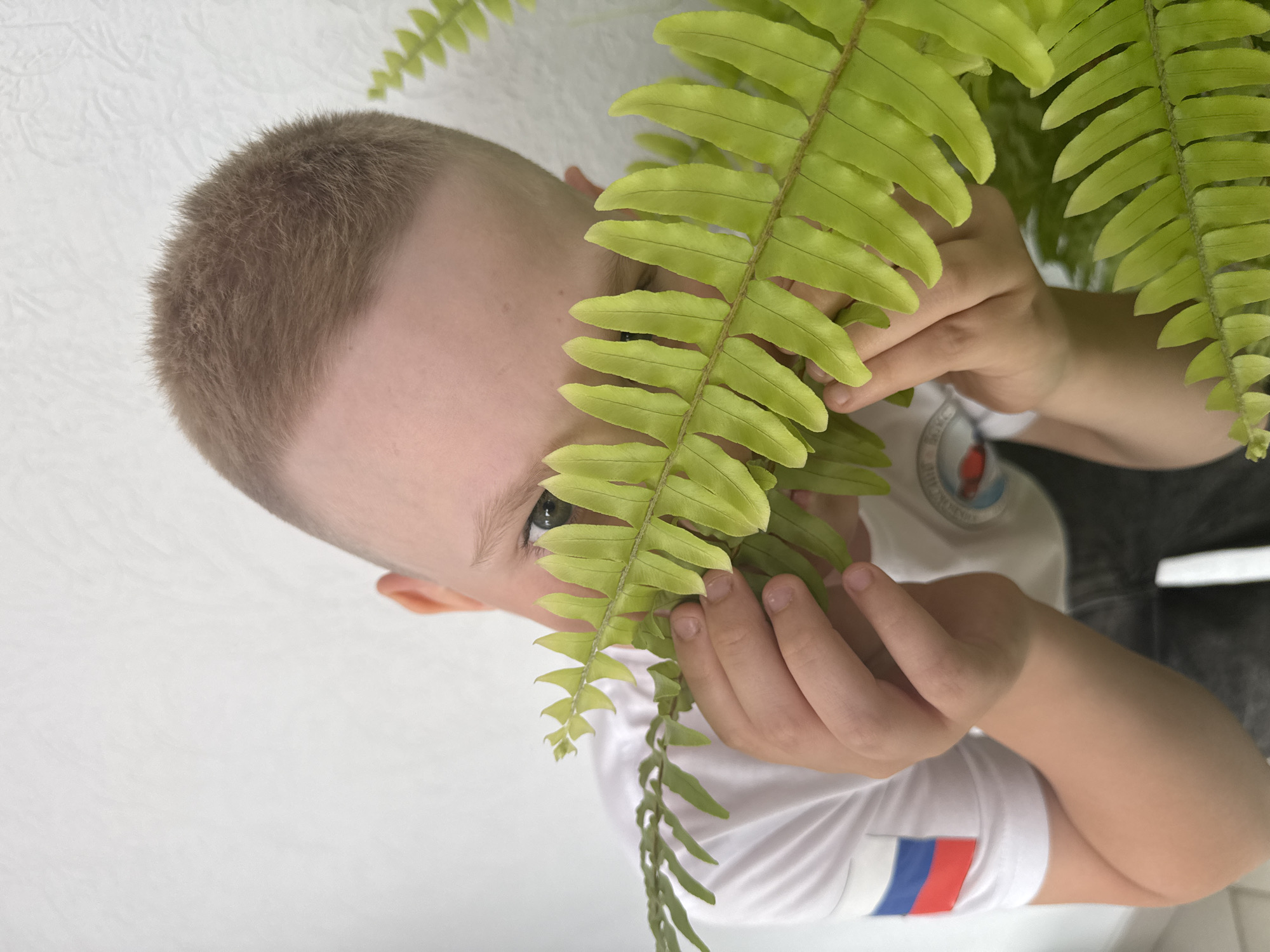 A child peers through green fronds, possibly a fern, held up by their hands. The child has short, light brown hair and a fair complexion. Only one eye is visible through the foliage. The child wears a white t-shirt with a Russian flag visible on the sleeve. The background is a plain white wall. This photo was taken in the city of Chaikovsky, Russia.