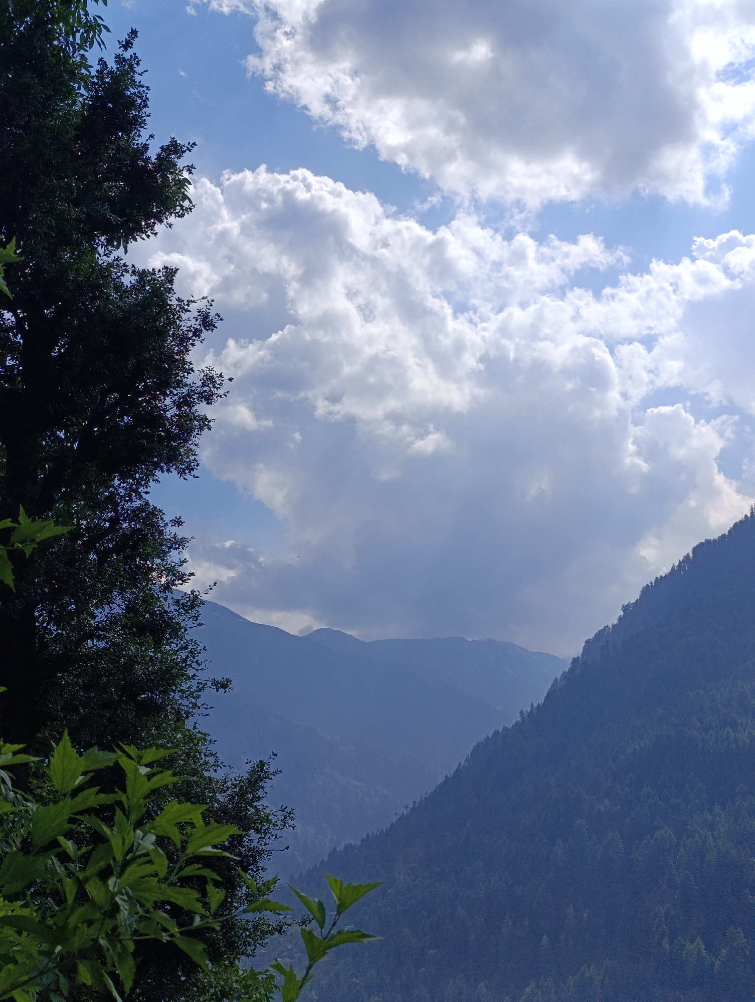 The image depicts a mountainous landscape with a lush green tree in the foreground on the left. The tree's branches and leaves partially obscure the view of the distant mountains and the sky. The sky is blue and filled with large, fluffy white clouds. The mountains are layered, with the closest ones covered in dense green trees and receding into a hazy blue in the distance. The scene appears to be a natural, outdoor environment. The location is Vashisht, India.