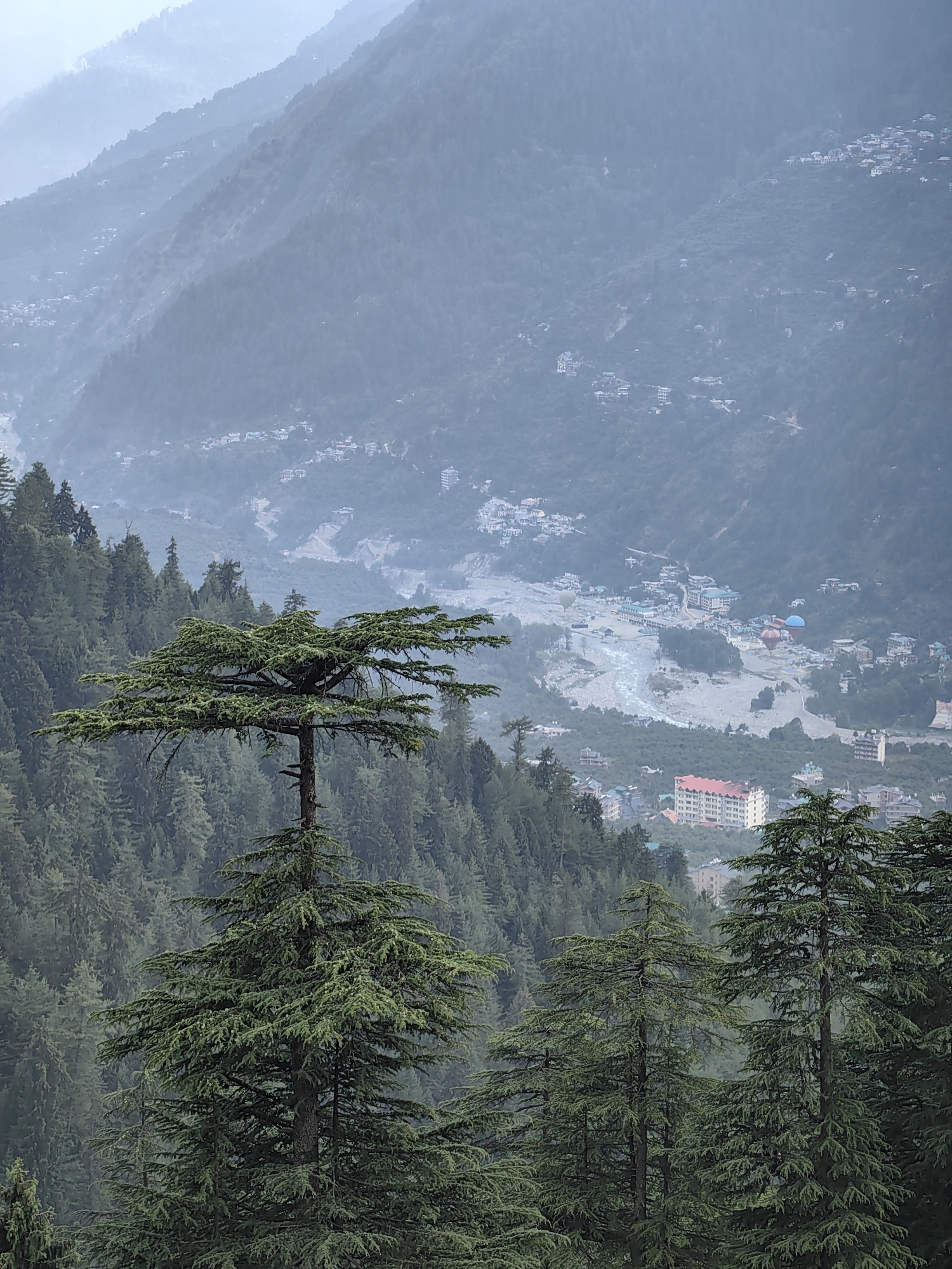 The image depicts a misty mountain landscape with a town nestled in the valley below, likely in the vicinity of Mujuri, India. Dense evergreen trees dominate the foreground and mid-ground, with a prominent cedar tree in the center-left showcasing its widespread branches. In the distance, a river winds through the valley, bordered by a cluster of buildings forming the town. Several multi-story structures, including a large building with a red roof, are visible. The atmosphere is hazy, with distant mountains fading into the mist. Two hot air balloons, one red and blue, are visible in the town, suggesting recreational activity. The overall scene is one of natural beauty combined with human settlement in a mountainous region.