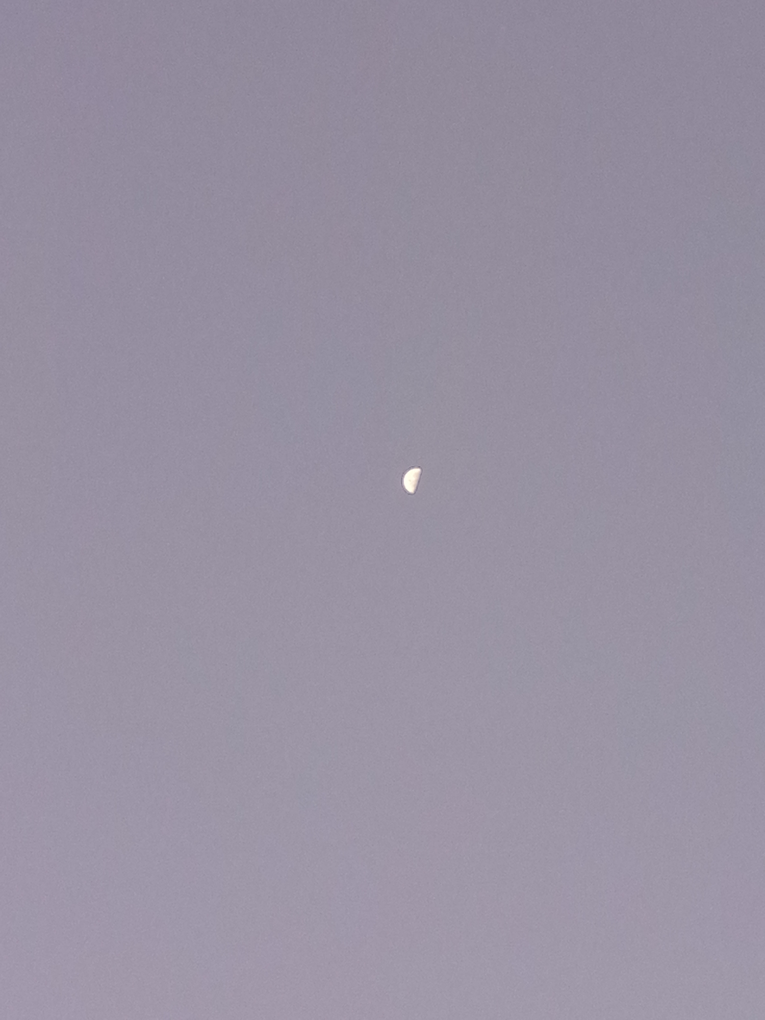 A pale half moon is centered in a gray sky. No other objects or subjects are visible. The location is unknown.