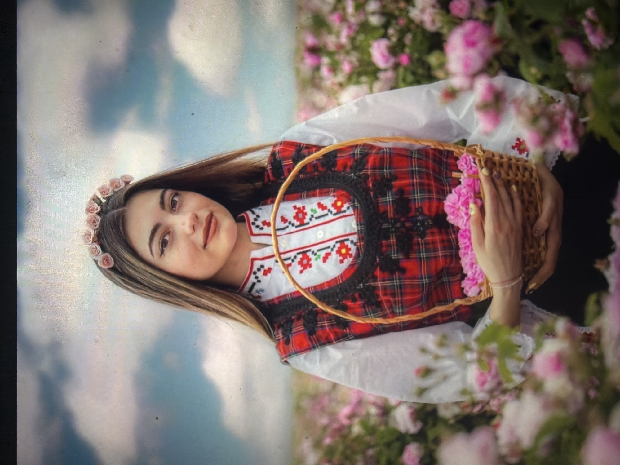 A young woman stands in a blooming pink rose field, assumed to be located near the city of Shumen, Bulgaria. She is positioned centrally, looking directly at the viewer with a neutral expression. Her long, straight brown hair is parted in the middle and adorned with a headband featuring small pink rose appliques. She is dressed in traditional Bulgarian attire, consisting of a white long-sleeved blouse with red, black, and white embroidered patterns on the collar and chest. Over the blouse, she wears a dark red and black plaid sarafan or vest, detailed with black lace-like trim around the neckline and armholes, and small black decorative elements on the bodice. Both hands support a small, light brown woven wicker basket filled with pink rose petals. The background consists of an expansive rose field with numerous pink blooms, extending into the distance under a partly cloudy sky with visible blue patches. Some rose bushes in the immediate foreground are slightly out of focus.
