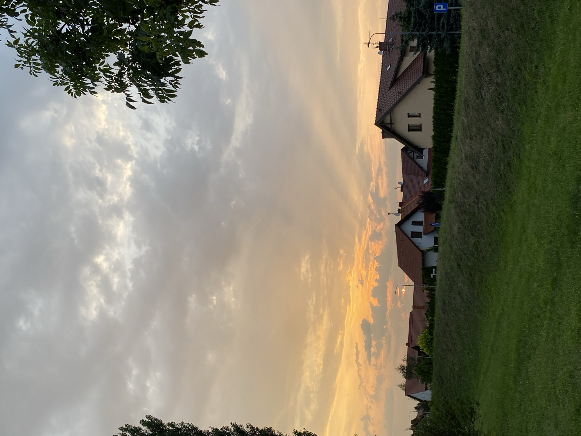The image captures a serene sunset over a residential area in Buk, Poland. The sky is a canvas of soft oranges and grays, with scattered clouds casting subtle shadows. In the foreground, a lush green grassy slope gently rises towards a row of houses. These houses, with their characteristic red-tiled roofs, are nestled behind a neat row of dark green hedges. Some of the houses feature dormer windows and chimneys, indicative of European architecture. A tall, slender evergreen tree stands to the right, adding a touch of natural contrast. A blue parking sign is visible near the tree, suggesting a public area. The overall scene evokes a sense of calm and domestic tranquility as day transitions into evening.