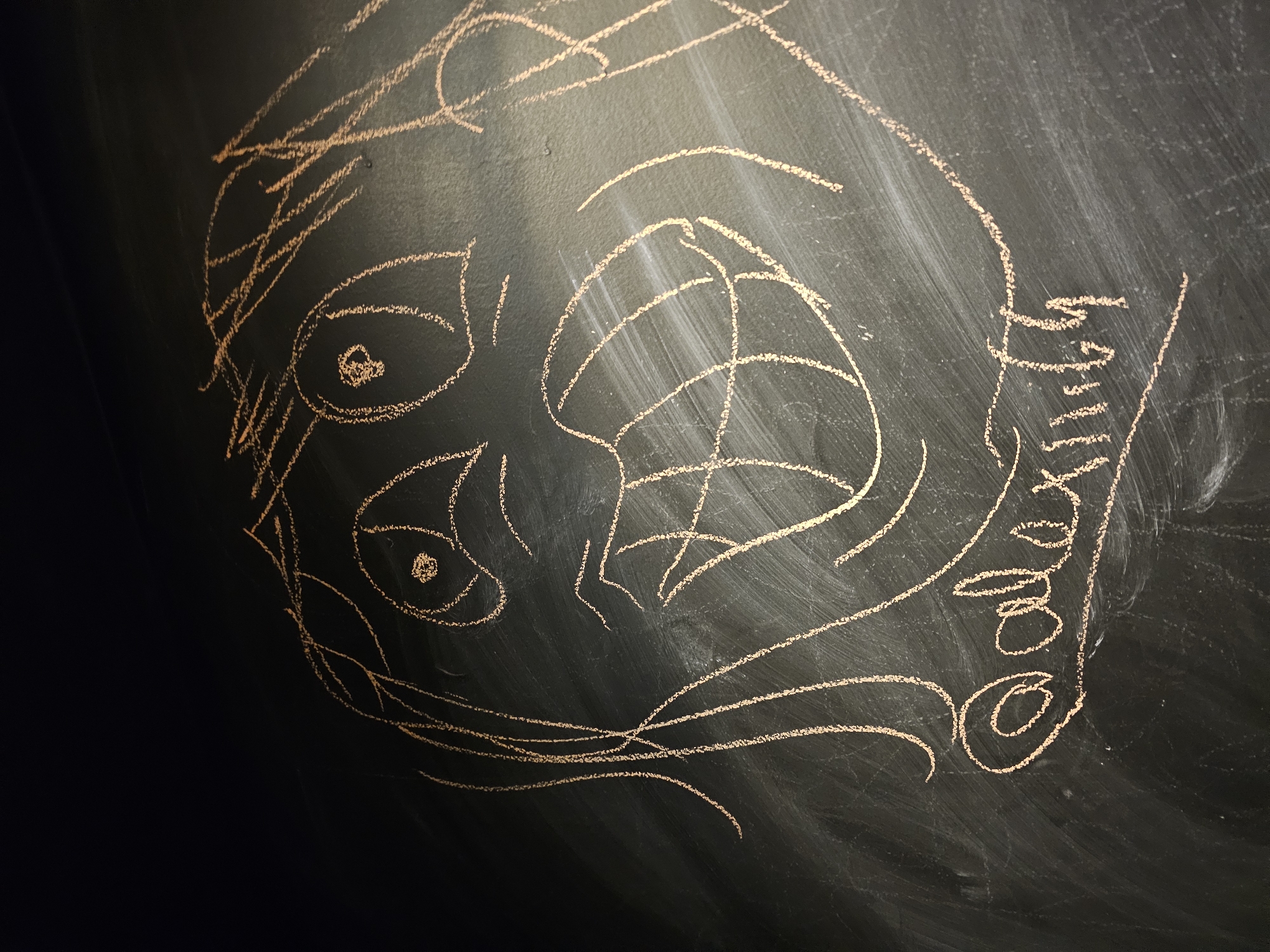 A rough sketch of a face is drawn in chalk on a dark surface, possibly a chalkboard. The drawing includes two prominent eyes, a nose, and lines suggesting hair or headwear. To the right of the face is a name, "Olivia", written in cursive. The drawing appears to be incomplete and somewhat stylized. The surface appears worn with streaks and smudges. There is no specific location or person, as the image is of a drawing on a dark surface. Therefore, providing a location or a forensic description is not possible.