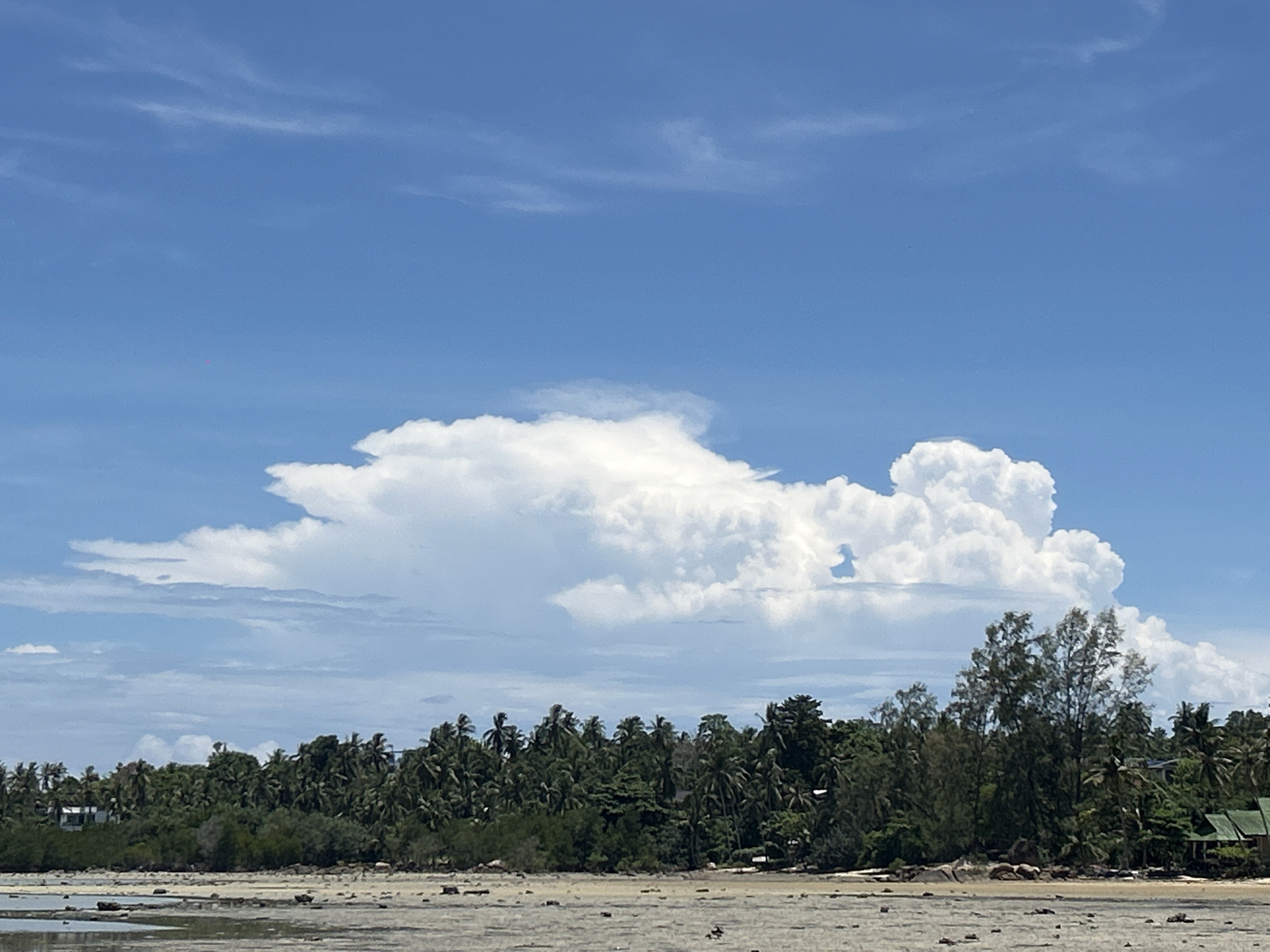 The image depicts a coastal scene in ตำบลเกาะพะงัน, Thailand. In the foreground, a muddy, sandy flat stretches out, possibly exposed due to low tide. A line of dense tropical trees, predominantly palm trees, marks the boundary between the beach and the land. In the background is a blue sky with large white cumulus clouds dominating the view. A small, red object is visible in the sky above the clouds, potentially an aircraft or bird. A few houses are visible amidst the trees on the right side.