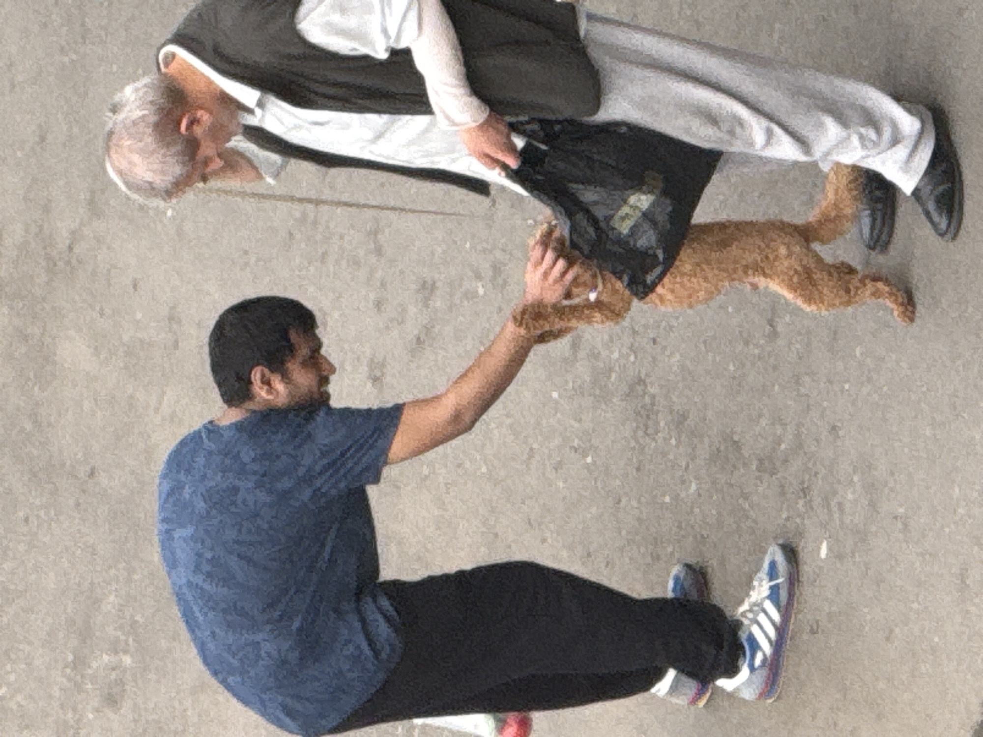 In Tbilisi, Georgia, two men and a dog are interacting on a textured gray pavement. The man on the left, wearing a blue patterned long-sleeved shirt and black pants, is bending over, reaching out to touch the dog. He has dark hair and a beard. The man on the right, with graying hair, is wearing a white shirt and a dark vest over a white long-sleeved shirt. He holds a black plastic bag in his right hand. The dog, a small, light brown curly-haired breed, is standing between the two men. The dog's body is mostly visible, and it appears to be looking towards the man on the left. The environment suggests an outdoor urban setting.