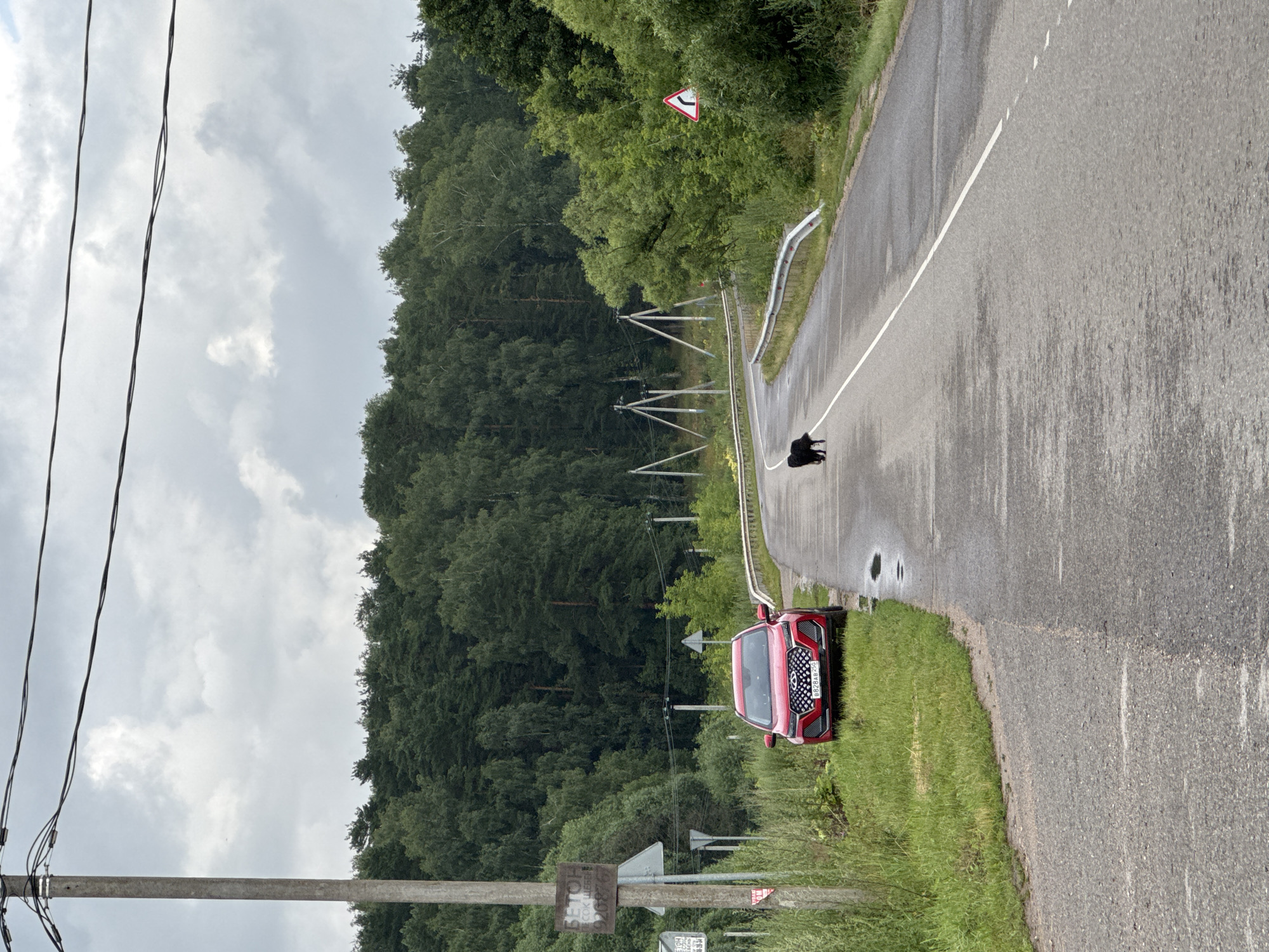 A red Chery Tiggo 7 Pro car is parked on the right side of a two-lane asphalt road in Rastunovo, Russia. The road curves to the left, surrounded by a dense forest. A black dog is walking in the middle of the road, heading away from the camera. The sky is overcast. There are power lines running across the frame, supported by utility poles. A speed limit sign is visible on the right side of the road.