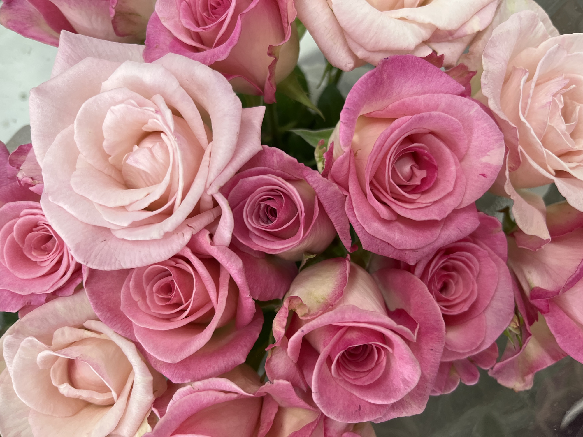 A close-up, overhead view captures a vibrant bouquet of pink roses. The roses vary in shade from a soft blush to a deep fuchsia, with some petals tinged with cream. Their petals are tightly furled in the center, gradually opening outwards to reveal their delicate layers. The arrangement is densely packed, with the blooms overlapping and interspersed with hints of dark green foliage. The lighting is soft, highlighting the velvety texture of the petals and creating subtle shadows that add depth to the composition. The background is out of focus, suggesting the bouquet is the sole subject. The image has a shallow depth of field, making the roses the clear focal point.