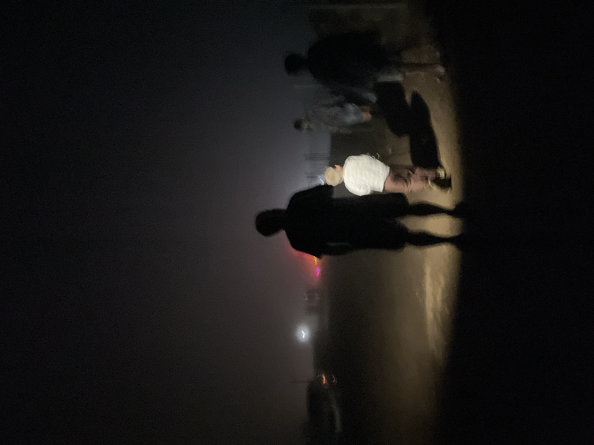 In the city of Gomismta, Georgia, the scene is dimly lit and shrouded in fog, suggesting it is nighttime or a very overcast day. Four individuals are walking on a dirt road, their silhouettes and features blurred by the low light and fog. The person in the foreground, to the left, is an adult male wearing dark clothing, walking away from the camera. Ahead of him, a child in a white shirt and light-colored pants is walking in the same direction. Further back, two other figures, likely adults, are also walking along the road. In the background, the lights of vehicles and possibly buildings are visible, appearing as diffused glows through the fog. The overall atmosphere is mysterious and somewhat eerie due to the limited visibility and the indistinctness of the figures and surroundings.