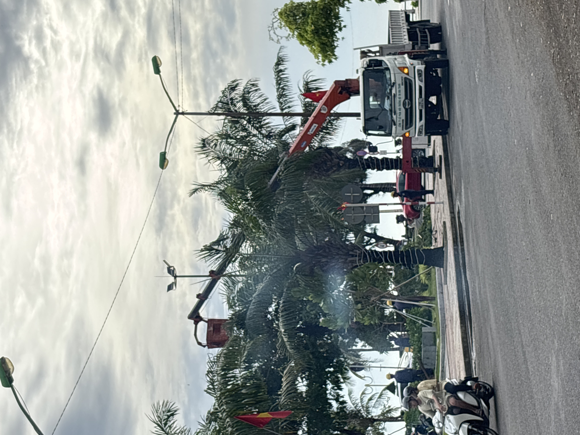 The image captures a street scene in Nha Trang, Vietnam, likely near the coast given the presence of palm trees and the overcast sky. In the foreground, two individuals are riding a white scooter on a paved road. Behind them, on the sidewalk, is a white truck with a red crane arm extending towards a tall palm tree. A person in a yellow hard hat is visible near the truck. The crane is positioned to prune or maintain the palm tree, with a basket-like attachment near the top of the tree. Further back, other individuals wearing yellow hard hats are seen, suggesting ongoing work. A red car is parked on the side of the road. The environment appears to be a public area with streetlights and trees lining the sidewalk. The sky is cloudy, indicating a potentially humid or rainy day. A Vietnamese flag is visible on one of the palm trees.