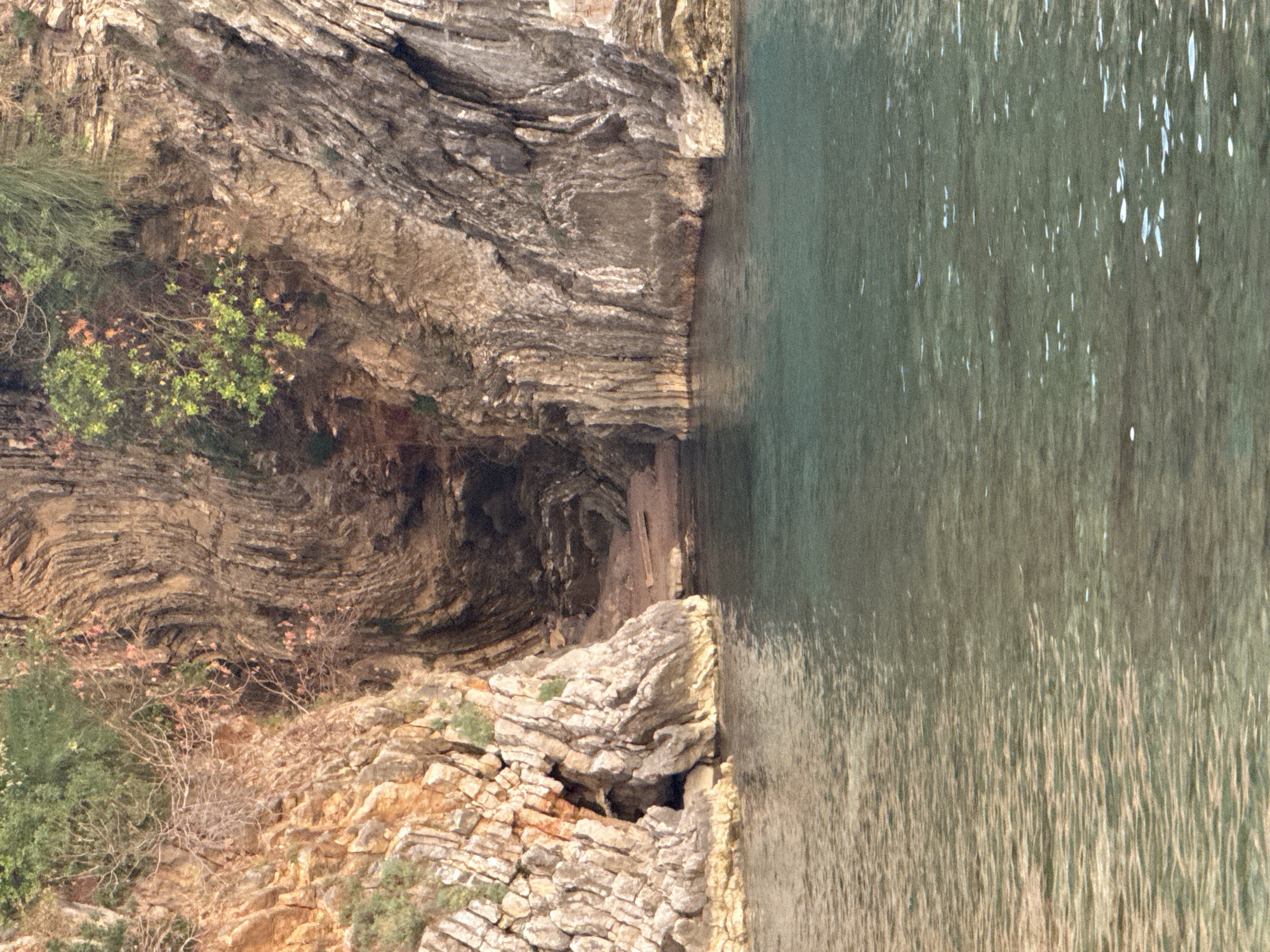 This is a landscape photograph taken from a slightly elevated perspective, looking down at a rocky coastline where layered rock formations meet the water. The scene is oriented vertically, with the rock face dominating the left side and the sea occupying the right.
The rock formations are prominent, displaying distinct layers and textures. The rocks appear weathered, with a mix of light brown, tan, and gray hues. Sparse vegetation, including green bushes and bare branches with a few reddish leaves, clings to the rock face in places. A dark, narrow opening or cave is visible within the rock face, suggesting a natural geological feature.
The sea is a muted green-gray color, with ripples and reflections on its surface, indicating it is likely calm. The water extends to the right edge of the frame.
No people or specific objects are clearly discernible. The lighting suggests it could be daytime, possibly with diffused sunlight, as there are no harsh shadows. The overall impression is of a natural, rugged coastal environment. The location context provided is Rafailovići, Montenegro, which aligns with the visual elements of a Mediterranean or Adriatic coastline. There is no visible text in the image.