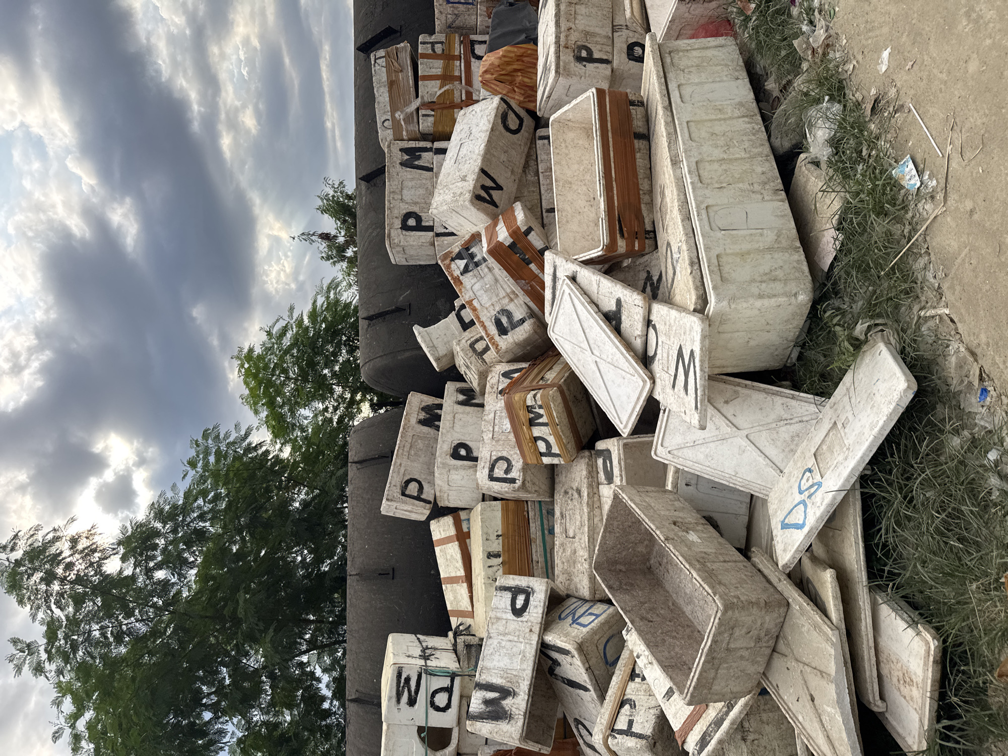 A medium shot captures a haphazard pile of rectangular, white containers, many marked with the letters "P" and "M" in black paint, and others with other identifying information. The containers appear weathered and stacked against a dark, vertical structure, possibly a wall or other large object. Adjacent to the pile is a patch of green vegetation and a paved surface. In the background, a canopy of trees is visible against a cloudy sky. The location is possibly Labuan Bajo, Indonesia. The scene seems to depict discarded or stored items near an urban or semi-urban area.