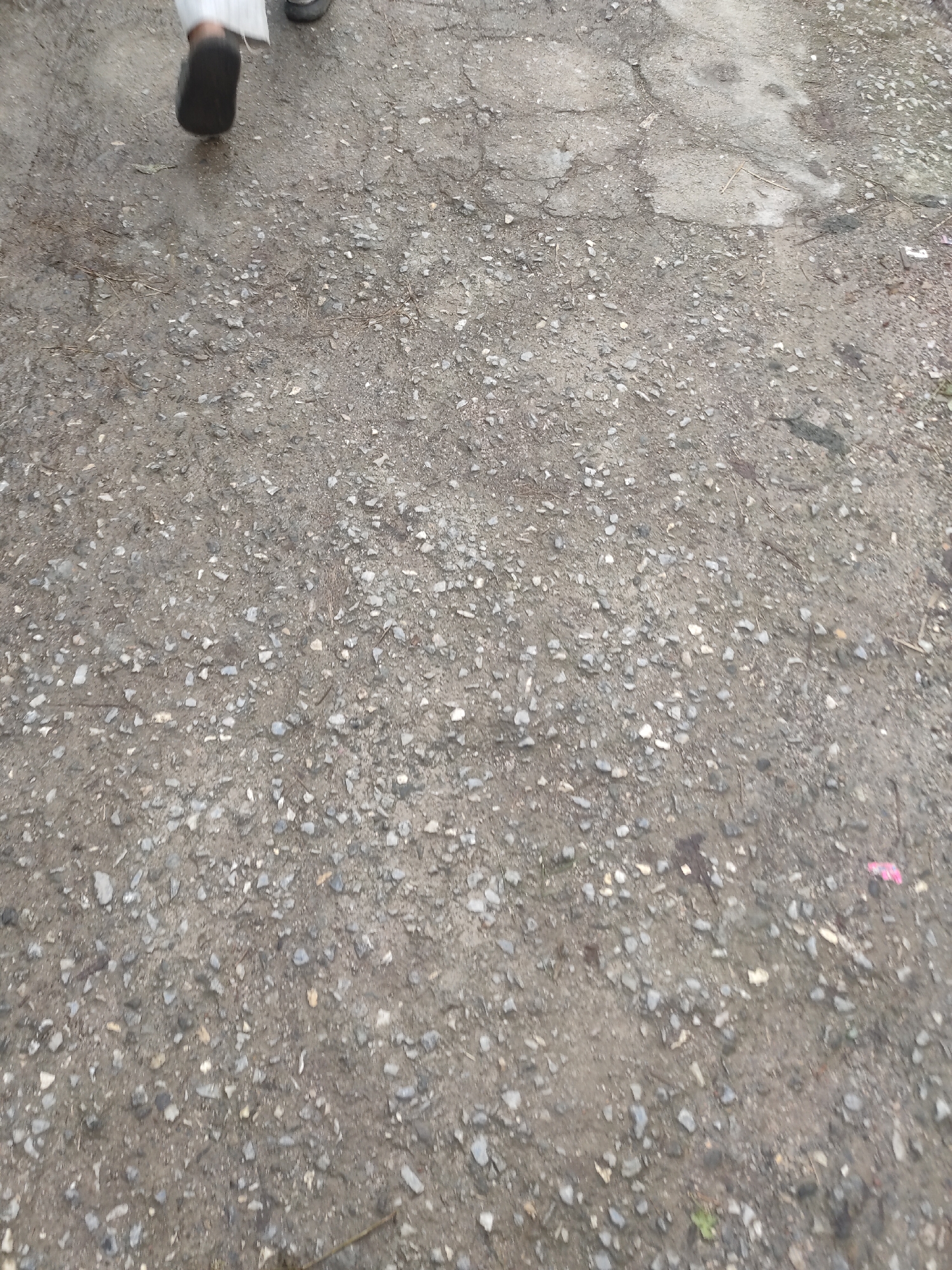 The image shows a person walking on a gravel path in Manali, India. The path is made of small stones and dirt, with some cracked concrete sections visible. The person is wearing dark shoes and white trousers. The environment appears to be an outdoor area, possibly a street or a pathway in a residential or commercial area. The lighting suggests it is daytime.