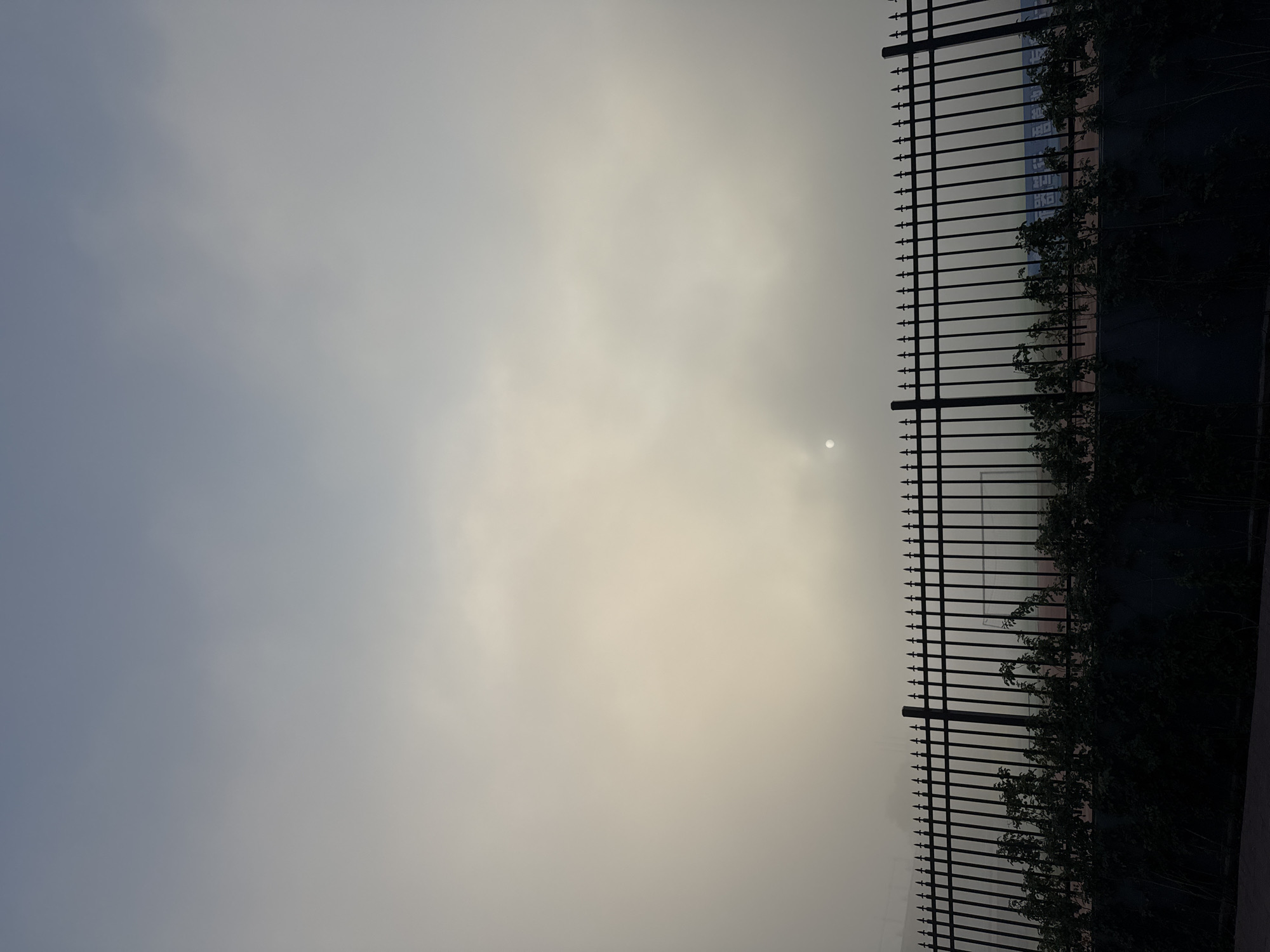 A foggy morning scene in Zhongtun, China, is depicted, with a black metal fence in the foreground. The fence is ornately designed with pointed finials on top of vertical bars. Behind the fence, dense green foliage obscures the ground level. In the background, the sky is a hazy gradient of light blue and pale yellow, indicating a thick layer of fog. A faint, diffused circular light, likely the sun, is visible through the fog in the upper middle section of the sky. Beyond the fence and foliage, a glimpse of what appears to be a sports field with markings is visible, along with some blue signage with Chinese characters. The overall atmosphere is muted due to the fog.