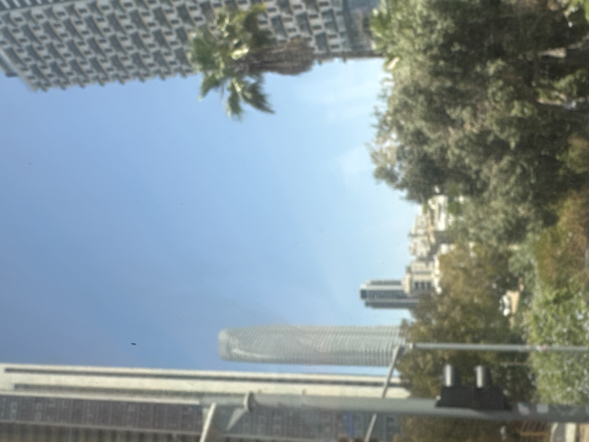 The image shows a view through a window, possibly from a moving vehicle, in Tel Aviv, Israel. The sky is light blue and clear.
Visible through the window are several buildings, including:
* A tall building with a patterned facade (top left).
* The Azrieli Sarona Tower, a modern, elliptically-shaped skyscraper.
* Other buildings of varying heights.
In addition to the buildings, the image also includes:
* A palm tree is seen near the tall building.
* Green foliage from trees, partially obscuring the buildings in the distance.
* What appears to be a rearview mirror and metal structure.
* A small dark object.
