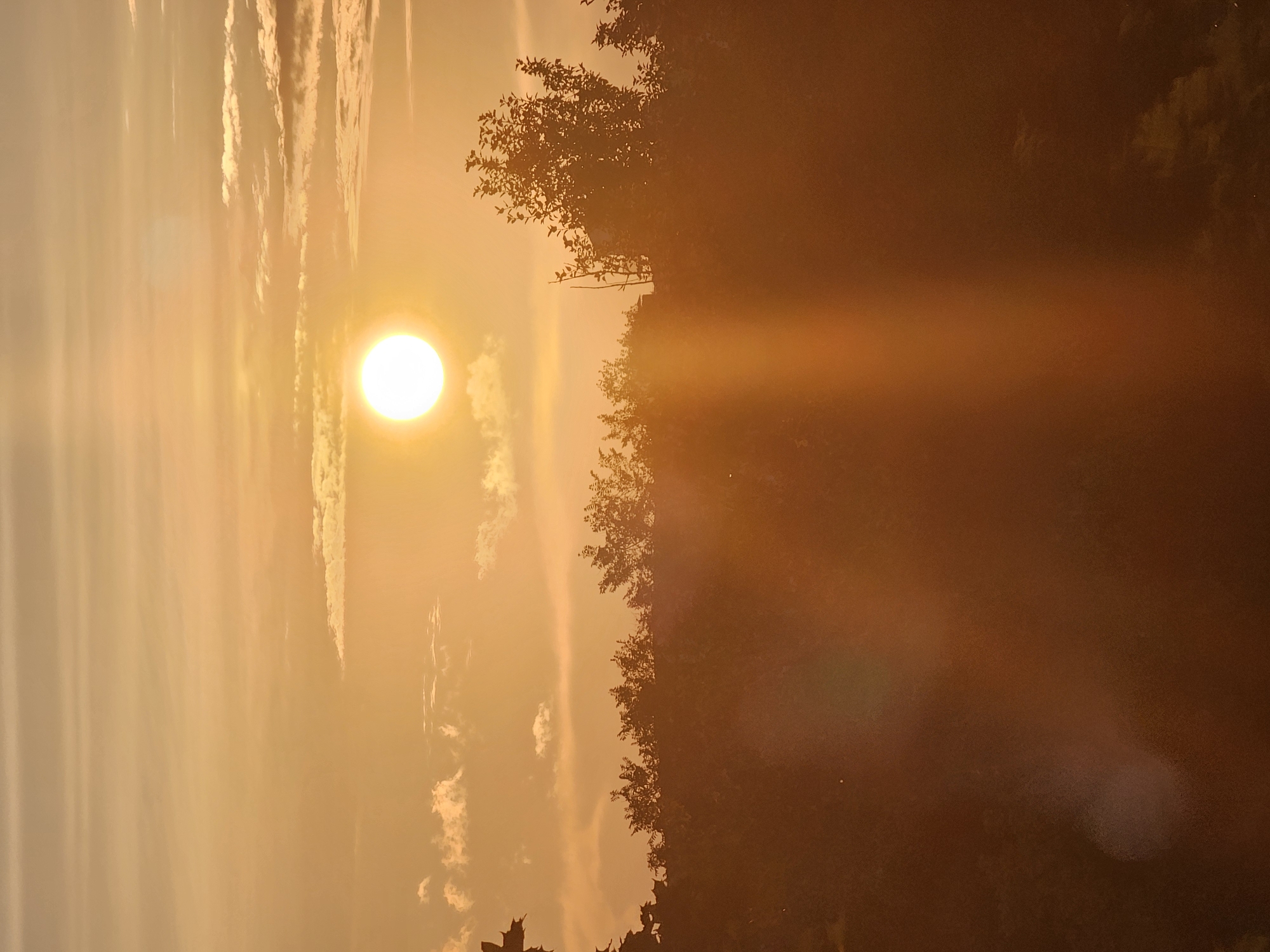 The image depicts a sunset over a treeline in Khimki, Russia. The sun, a bright orb, is positioned in the upper right quadrant of the frame, casting a warm, orange glow across the sky. Wispy clouds are scattered throughout the sky, painted in shades of orange and yellow. The foreground is dominated by a dark silhouette of trees, with some branches and leaves visible against the bright sky. The lower portion of the image is a blur of deep orange and brown, suggesting either a very dense forest or a strong lens flare. There are no people or specific structures visible in the image, making it a natural landscape scene.