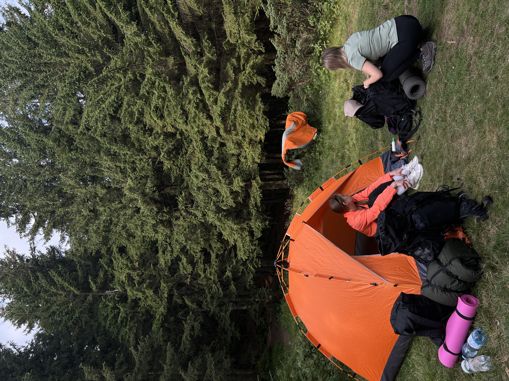 Two women are setting up camp in a forest near the city of Vorokhta, Ukraine. An orange tent is pitched on a grassy area, and various camping gear, including backpacks, sleeping bags, and water bottles, are laid out around it. One woman, wearing an orange jacket, is sitting inside the tent, and the other, wearing a green t-shirt, is kneeling next to a backpack. The background is filled with dense evergreen trees.