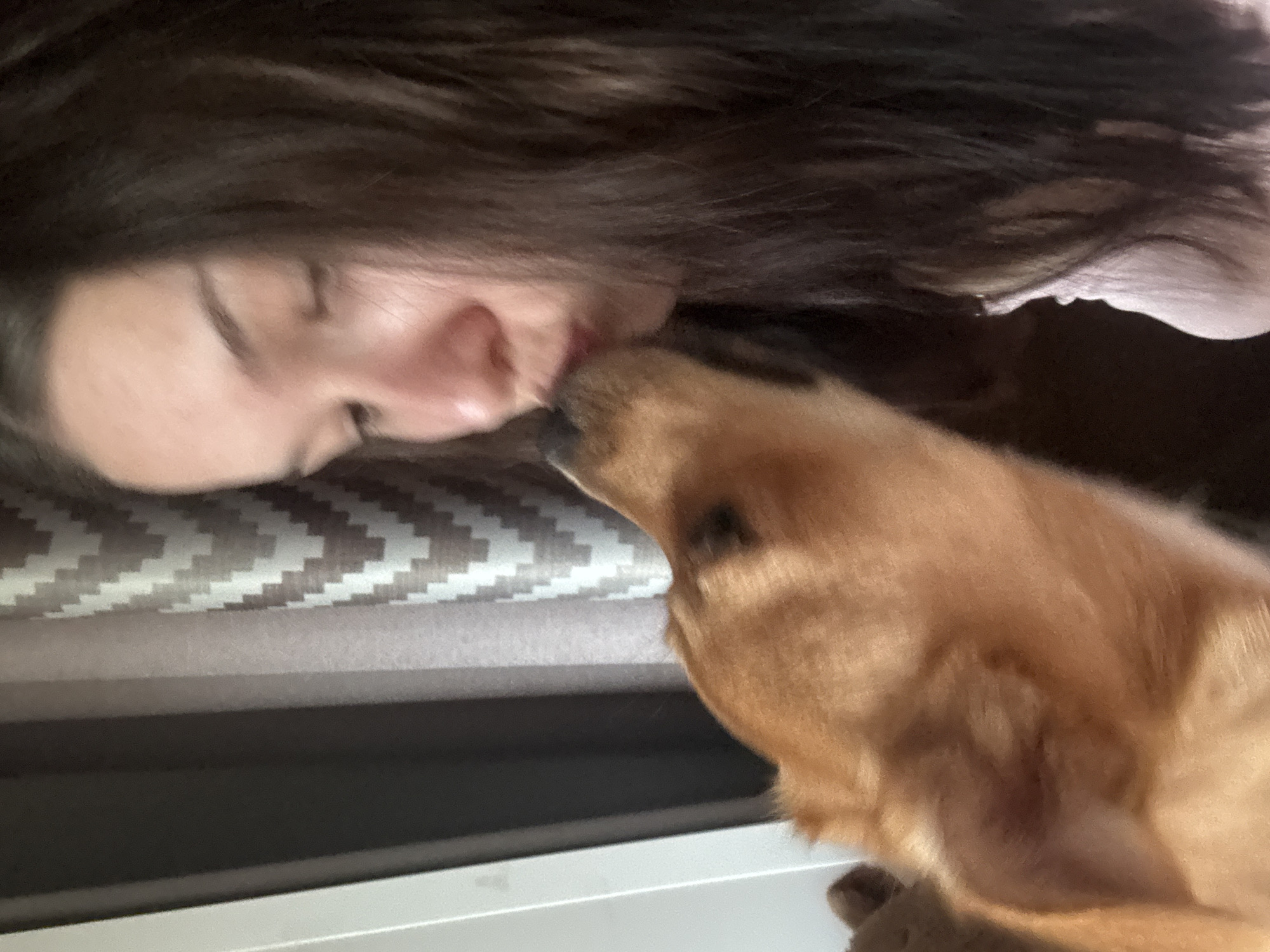 An outdoor photograph shows a young woman with long, dark hair leaning in to kiss an orange dog. The woman is wearing a light pink shirt. They are positioned in front of a window with blinds. The background consists of a dark, out-of-focus area on the left and a patterned curtain on the right. The image does not provide information to determine the specific location in the city of Inskoy, Russia.