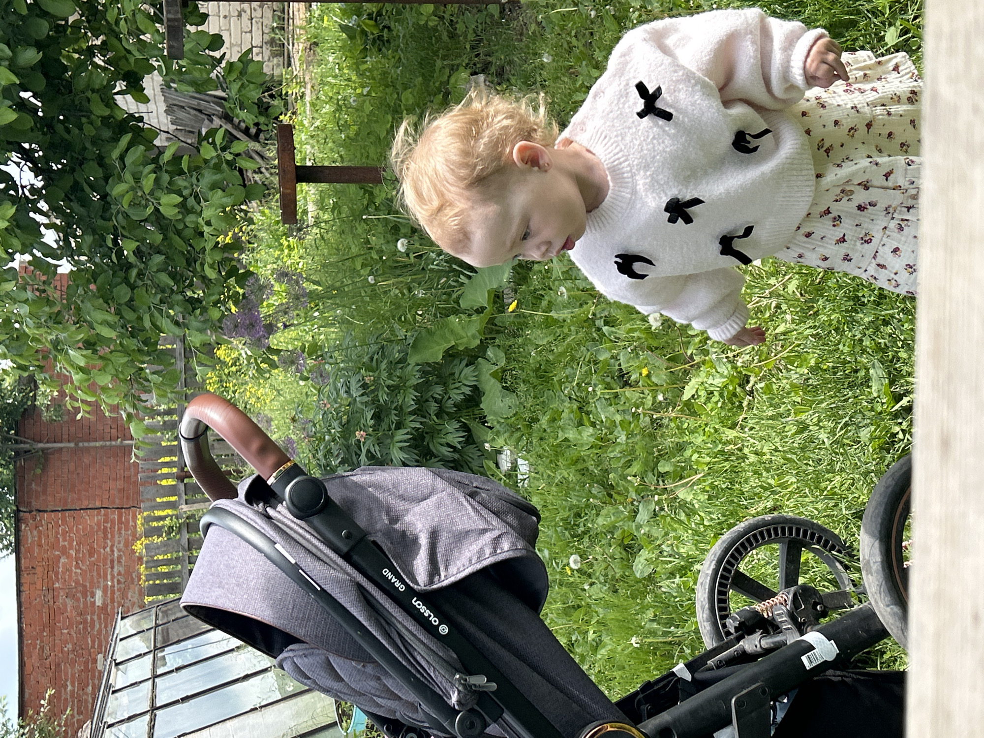 This outdoor photograph, taken in Азинский, Russia, features a young child and a baby stroller within a verdant garden or yard under bright daylight. The image is presented in a rotated orientation, depicting the scene from a slightly overhead perspective.
The primary subject is a toddler with blonde, curly hair, dressed in a cozy white sweater adorned with multiple black bow-like embellishments and a light-colored skirt with a subtle floral pattern. The child is standing or taking small steps, looking down intently at the grassy ground, which is dotted with dandelions and other wild plants.
To the left, a grey baby stroller is prominently visible, its frame clearly displaying the brand name "OLSSON GRAND". The stroller features a brown leather-look handlebar and dark wheels. In the background, a rustic environment unfolds: an old brick wall and a glass-paneled greenhouse-like structure are discernible behind the stroller. Further away, lush green foliage from trees and bushes, along with some rusty metal posts, contribute to the natural, somewhat unmanicured setting. The clear lighting and visible shadows indicate a sunny day, capturing a quiet, exploratory moment.