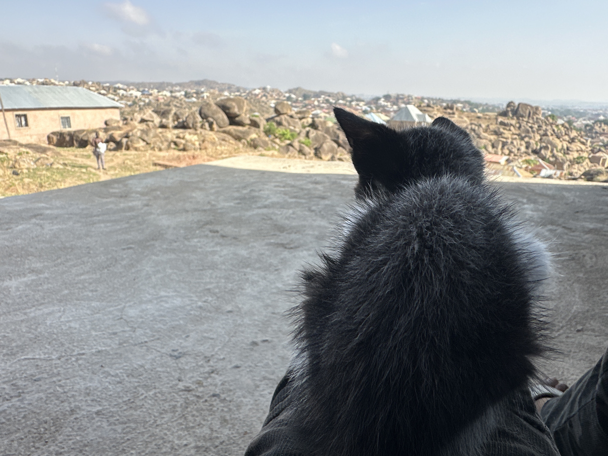 A close-up shot depicts the back of a black and gray furry animal, possibly a dog or similar creature, gazing out over a landscape. The setting appears to be a rooftop or elevated concrete platform, with a panoramic view of Jos, Nigeria. The urban environment is characterized by scattered buildings interspersed among rocky hills and formations under a light blue sky with some clouds. In the background to the left, a pale building stands near a person.