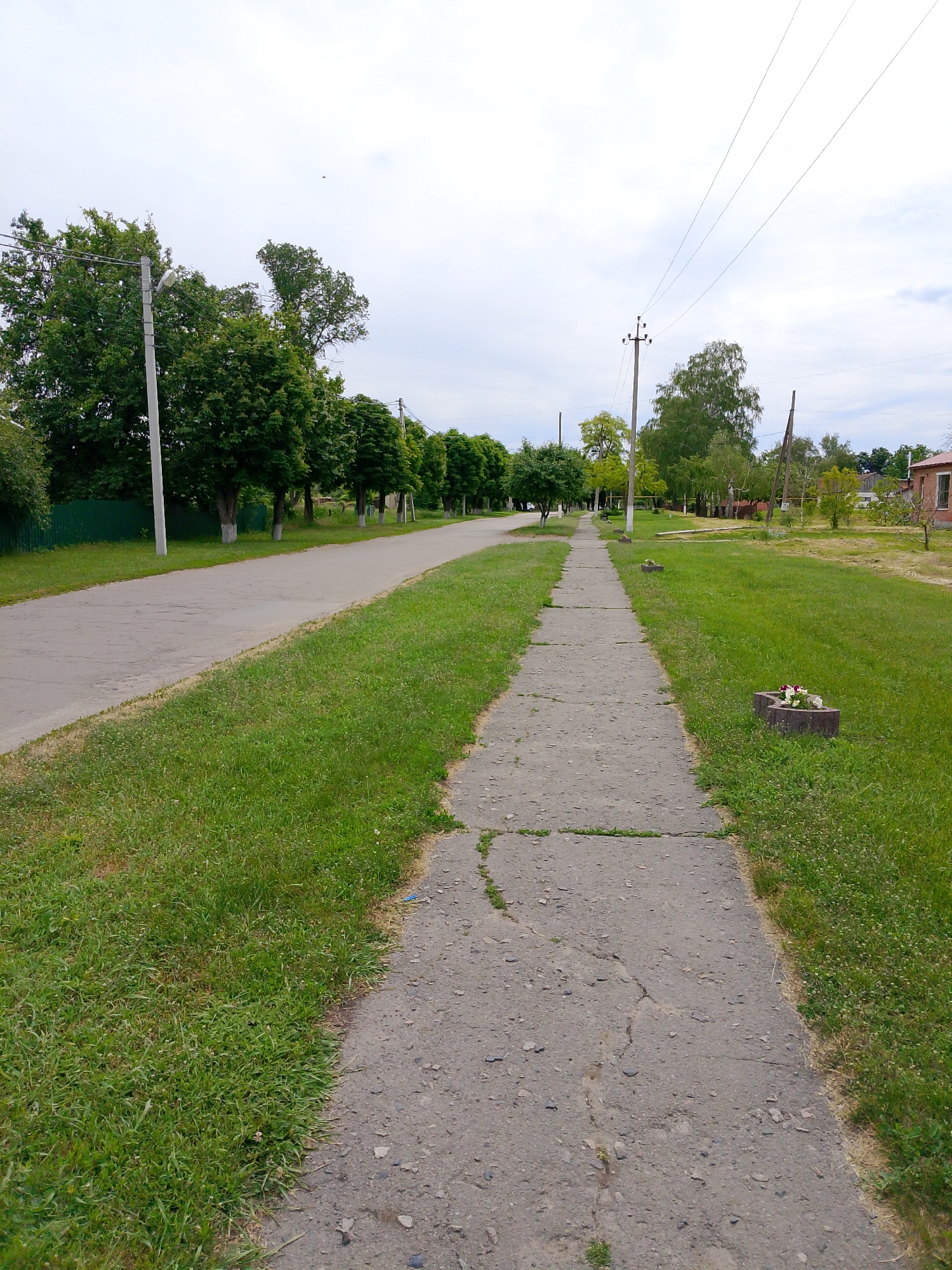 The image displays a tranquil, wide-angle view of a street or pathway in a rural or semi-rural setting, captured on a daytime with an overcast sky.
In the foreground, a cracked, grey concrete sidewalk runs diagonally from the lower right into the distance. To its left, a strip of vibrant green grass separates it from an asphalt road that parallels the sidewalk on the left side of the frame, also receding into the background.
Along the left side of the asphalt road, a row of mature trees with dense green foliage stands tall, many featuring their lower trunks painted white. Behind these trees, a dark green fence is partially visible. A utility pole with a streetlamp is prominent on the left, near the foreground, extending power lines across the upper part of the image. Another, more rustic wooden utility pole with power lines is visible on the right side of the road in the midground.
In the grassy area beside the sidewalk, a small, dark concrete planter box holds a few artificial flowers, mainly white and red. A similar planter can be seen further down the path. In the distant background on the right, a portion of a brick building with a window is visible, suggesting residential structures. The overall scene is devoid of human activity, conveying a sense of peace and quiet. There is no visible text. The bright, diffused light indicates it is daytime, likely under a partly cloudy or overcast sky. Location cues suggest a village or small town setting.