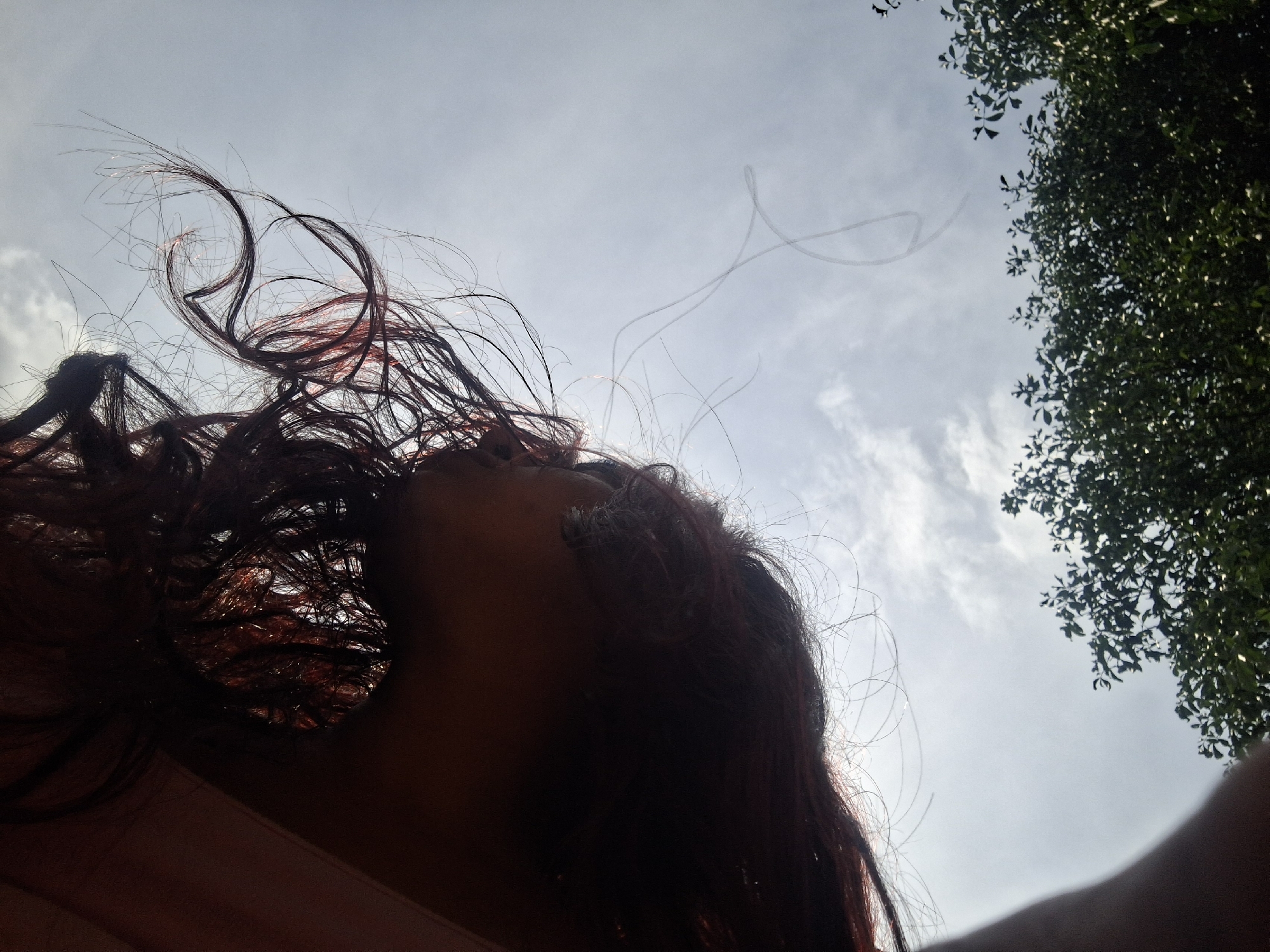 A low-angle outdoor shot captures a person looking upwards at the sky in Vallecito, Venezuela. The subject's head is seen in profile from the right side, with their face partially obscured by shadow, facing towards the upper left of the frame. Their dark hair, featuring reddish-brown undertones, is wild and appears to be blowing upwards and outwards, with individual strands catching the bright sunlight against the sky.
The background consists of a bright, clear sky with scattered white clouds. On the far right, a portion of a lush green tree with dense foliage is visible, reaching into the frame from the top right corner. The lighting suggests it is daytime, possibly morning or afternoon, with the sun positioned behind the subject, backlighting their hair. The overall impression is one of natural beauty and a breezy outdoor environment. No visible text is present.