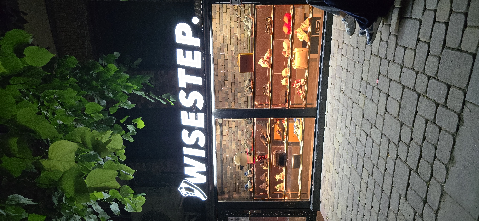 The image shows the "WiseStep" store, a retail establishment specializing in shoes and accessories, situated in Grozny, Russia. The store's vertical illuminated sign is prominently displayed. A display window showcases an array of products, including sneakers, handbags, and various accessories. Pavement tiles form the foreground to the right. A dense, leafy tree partially obscures the left side of the image. Parts of people's legs can be seen in the top right-hand corner.