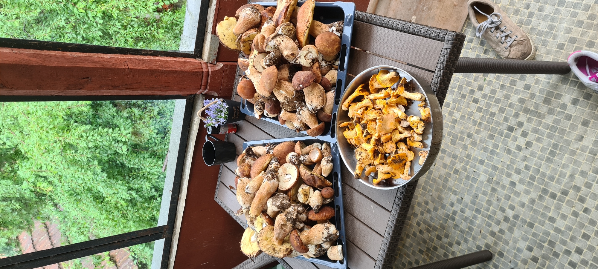 On an outdoor balcony or terrace in Lopian, Bulgaria, a robust collection of freshly harvested wild mushrooms is displayed on a dark brown, textured table. The table features a woven pattern and a central support leg. Two large, dark grey rectangular trays are filled with various bolete mushrooms, likely including Porcini, characterized by their thick stems and brown caps, some showing dirt and cut surfaces. A round, shallow metal pan holds a pile of bright yellow-orange chanterelle mushrooms.
Beside the mushroom trays, a black mug rests on the table next to a small black pot labeled "Sweet Home," containing small purple artificial flowers. Two small shakers are positioned near the pot. The background reveals a view of dense, vibrant green foliage from trees or bushes, suggesting a natural environment. A dark metal railing structure and a reddish-brown wooden pillar frame this view. In the upper left background, a terracotta-tiled roof is partially visible. The floor beneath the table is covered in small, light grey and off-white square mosaic tiles. On the floor, a pair of worn light brown sneakers with white laces is visible, along with the partial view of a pink and white sneaker in the bottom right corner. No individuals are present in the image.