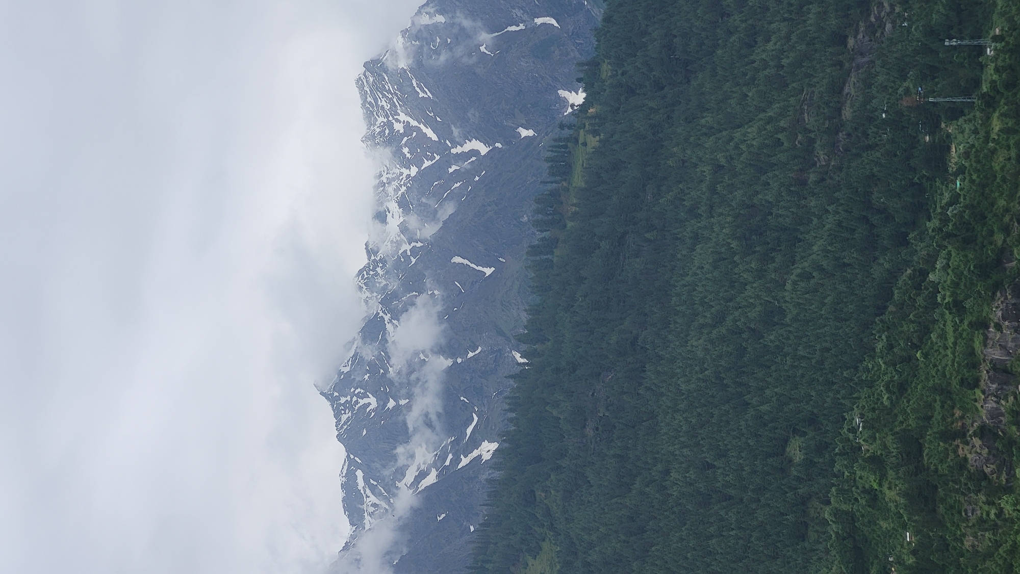 The image shows a mountain in Vashisht, India. The mountain is partly covered in snow and clouds, and a dense forest extends from its base. A utility pole is located on the right side of the image.