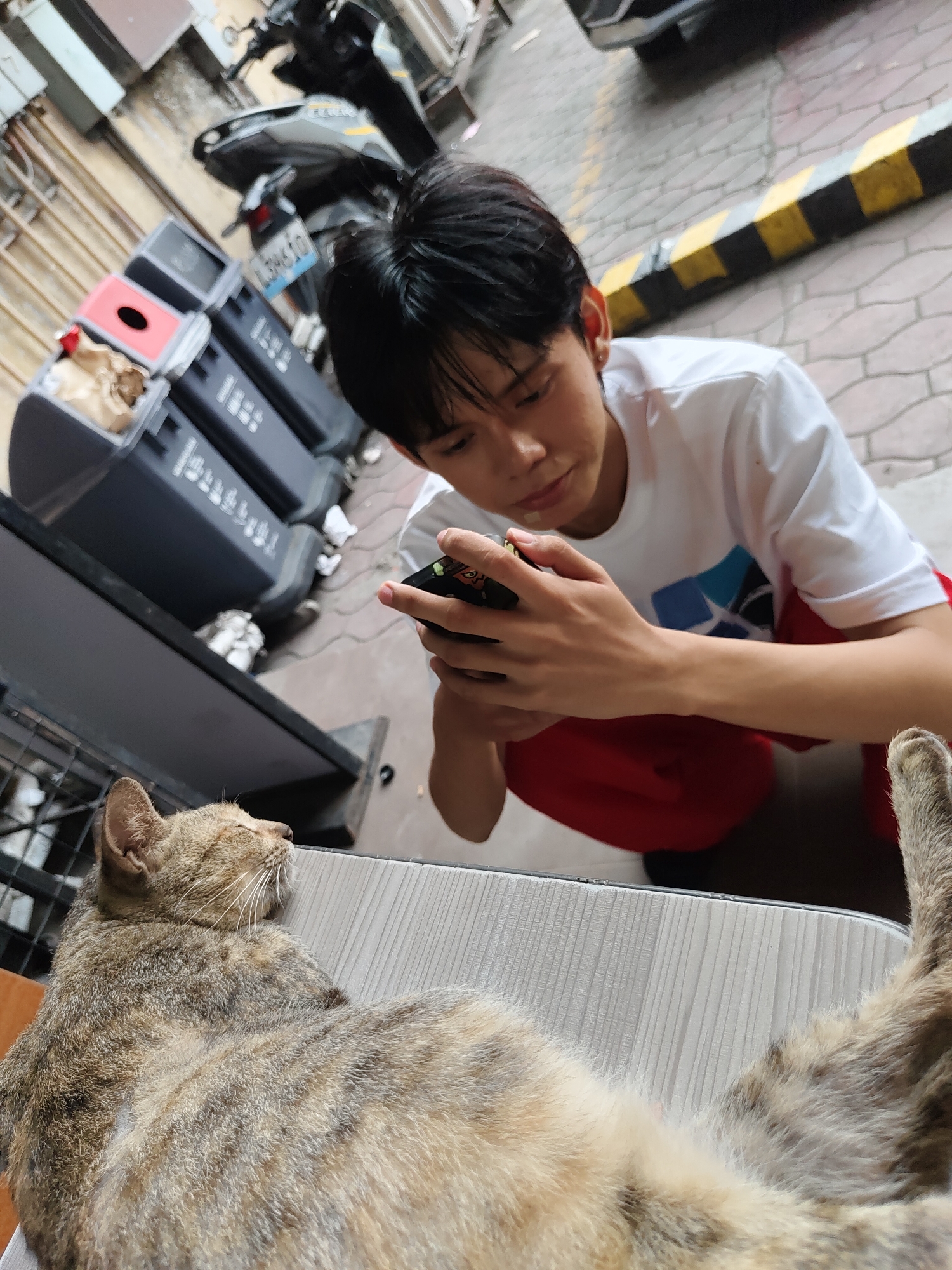 Memory