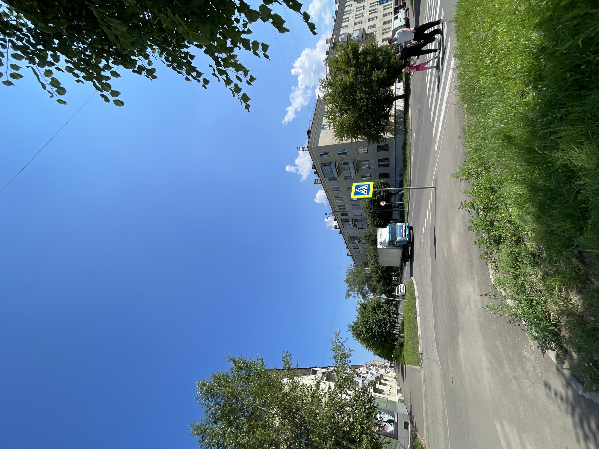 An outdoor, low-angle, eye-level shot captures a sunny day in Zheleznogorsk, Russia, on a street with a wide, paved road and a pedestrian crossing. In the foreground, lush green grass and a small patch of wildflowers grow along the curb. Across the road, a multi-story, light-colored apartment building with numerous windows and balconies dominates the scene. A blue and white truck is visible on the road, and a pedestrian crossing sign with a yellow diamond shape and a silhouette of a pedestrian is displayed on a pole. Further down the street, more trees and apartment buildings line the road. On the right side of the frame, a man and a child are walking across the pedestrian crossing, with a second man following behind them. The sky is a clear, vibrant blue with a few wispy clouds. The overall atmosphere is calm and urban.