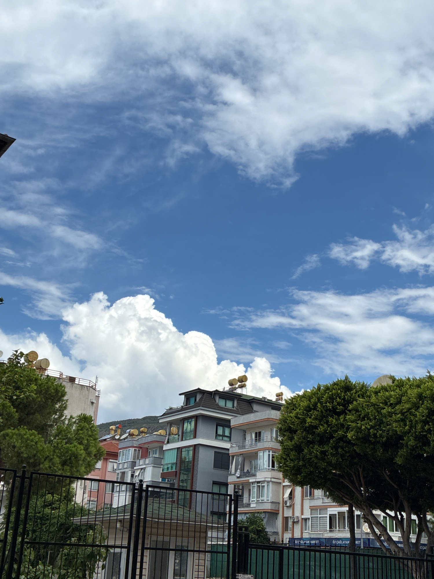 The image captures a view of apartment buildings in Alanya, Turkey, under a vibrant blue sky dotted with white, fluffy clouds. The buildings are of varying architectural styles and heights, with several featuring solar water heaters on their rooftops. Green trees, including a prominent, large evergreen on the right side of the frame, frame the residential structures and a black metal fence in the foreground. The scene appears to be a typical urban residential area, likely in the daytime given the bright sky.