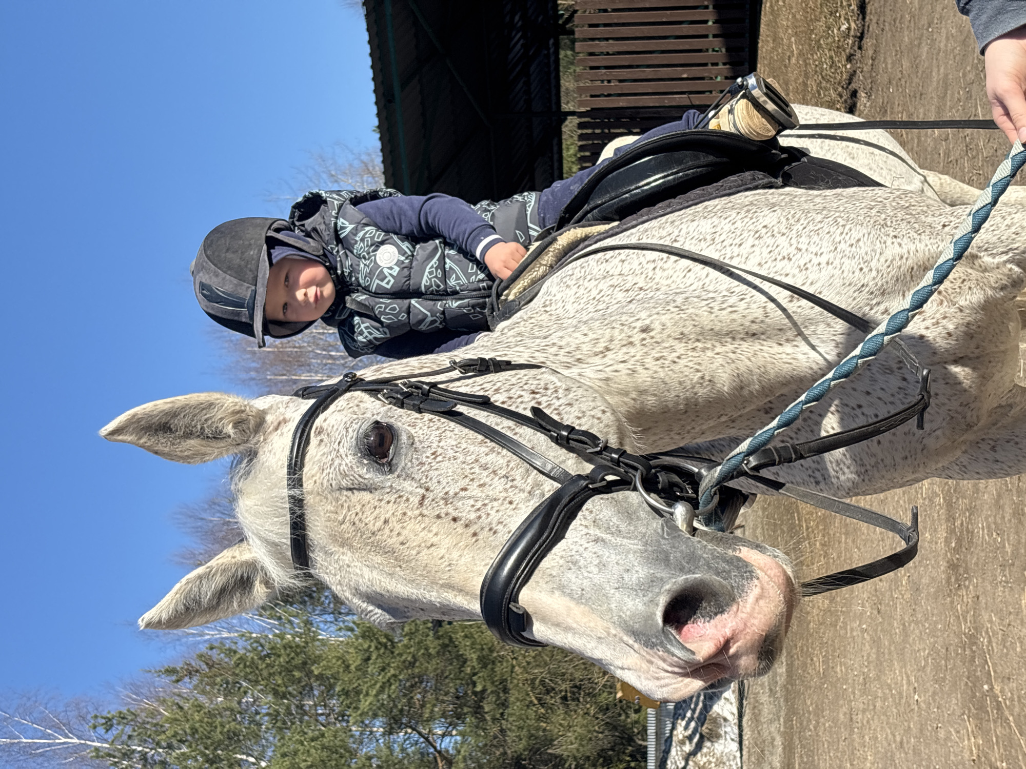 A young child wearing a riding helmet and vest sits atop a grey dappled horse. The horse is equipped with a bridle and reins. The location appears to be an outdoor riding arena or stable area. The sky is visible, suggesting a clear day. The image was taken somewhere around Русский Вожой, Russia.