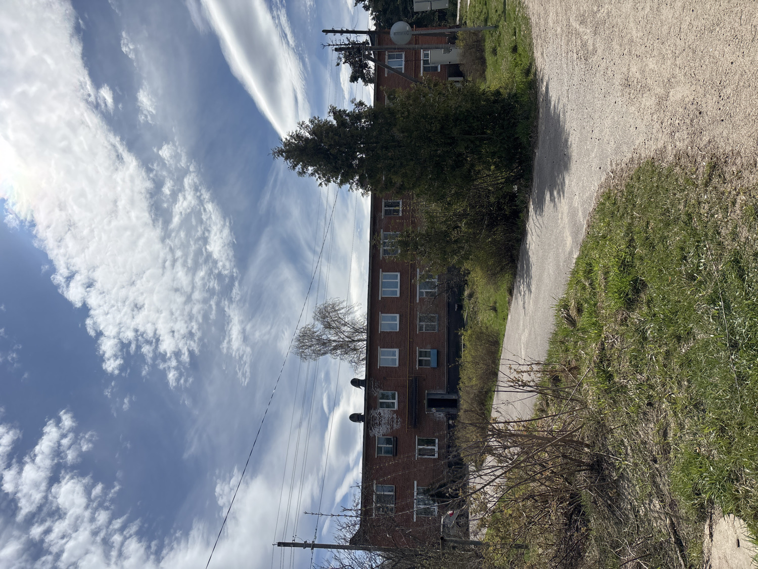 A bright outdoor scene, likely captured in early spring, depicts a residential or semi-rural area in Раздолье, Russia. The upper half of the image is dominated by a clear blue sky filled with numerous white clouds, including long, wispy cirrus streaks and more scattered, textured formations. The sun is visible in the upper left, creating a bright haze.
On the left side of the frame, a multi-story brick building, possibly an apartment complex, is visible with multiple windows, some featuring white frames. A large, dense green tree stands in the mid-ground, partially obscuring the building. Further back and to the right, a smaller brick building is seen, topped with a satellite dish. Utility poles and power lines are present, especially in the upper right.
A light-colored, unpaved or gravel path or road stretches diagonally from the foreground towards the background on the right side of the image. Fresh green grass grows along the edges of the path and around the buildings, while bare, thorny bushes and small trees, showing signs of new growth, populate the foreground and mid-ground. The scene is static, devoid of people or specific activities, conveying a peaceful, everyday atmosphere during daylight hours. No discernible text is clearly legible.
