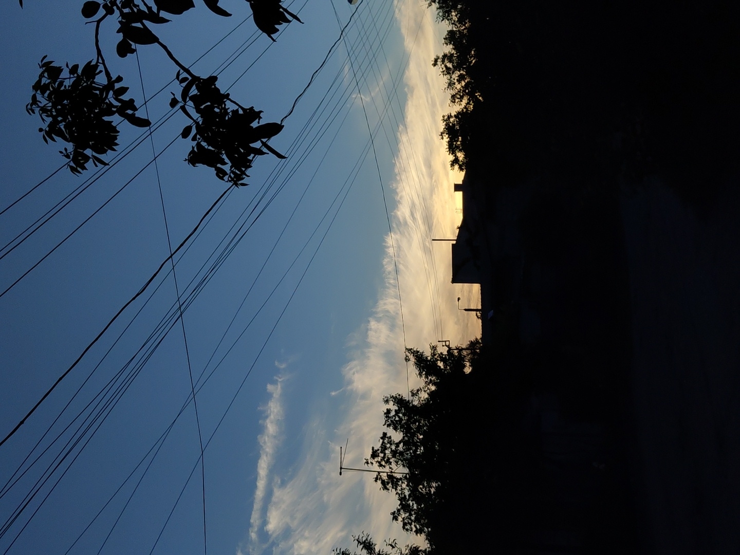 The image depicts a street scene in Unknown, Unknown, taken at dusk. The sky is a gradient of blue, transitioning to a lighter, almost orange hue near the horizon. Wispy clouds are scattered across the sky. In the foreground, there are tree branches with leaves silhouetted against the sky on the left side of the image. Numerous power lines extend across the view, from the left side towards the upper right, and then downward. On the right side, the scene is dominated by a dark mass, likely buildings and trees along the street. The light from the setting sun barely illuminates the edges of the buildings, a streetlight, and the tree line. The rest of the street scene is obscured in shadow.