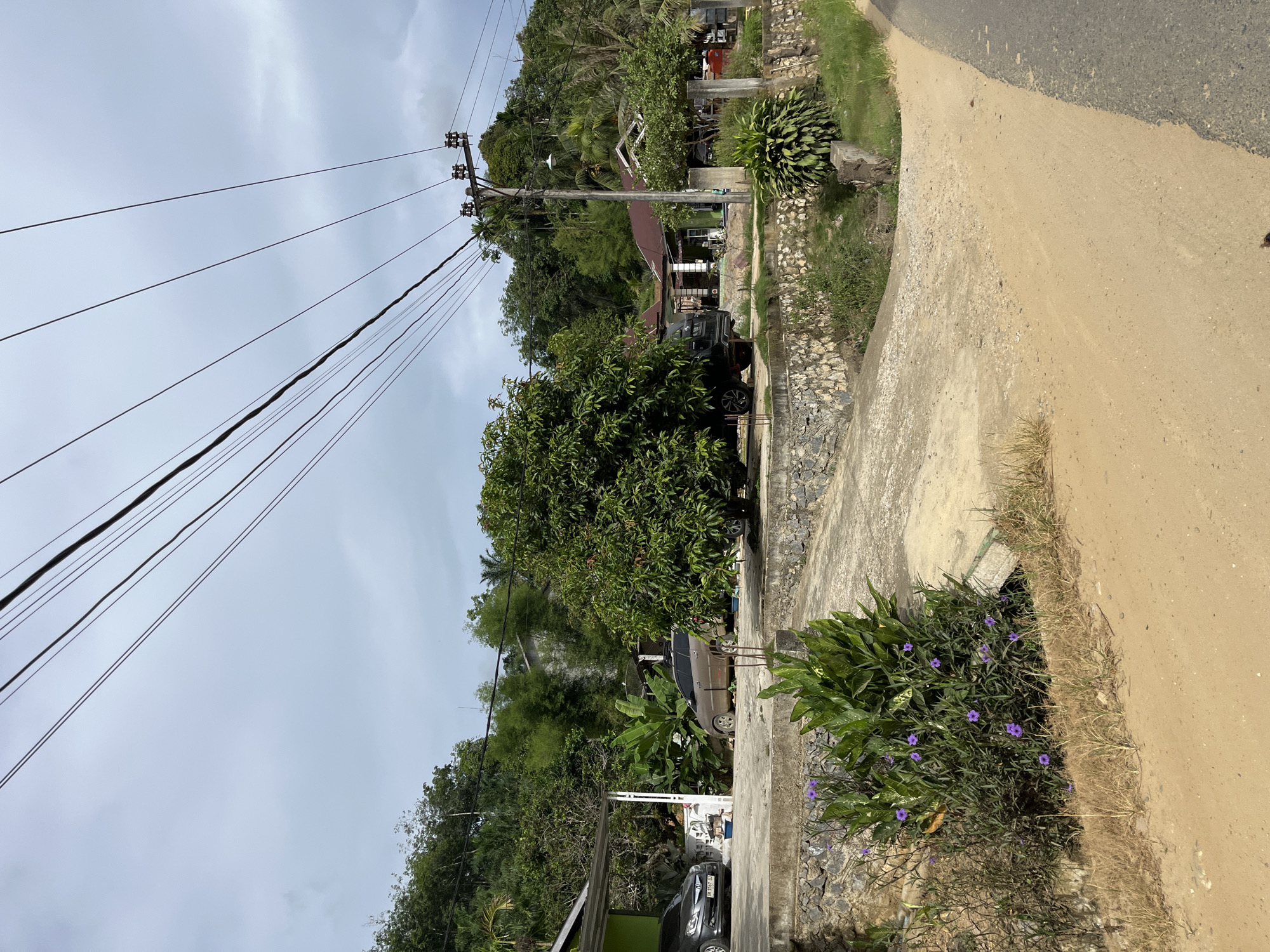 The image shows a scene in Sukajadi, Indonesia, featuring a driveway leading to houses, surrounded by lush green vegetation and trees. Several vehicles are parked in the driveway and near the houses. Utility poles with multiple power lines are visible against a cloudy sky, crossing over the scene. The foreground is dominated by a dirt and gravel road, with a patch of green plants with purple flowers to the left. The houses appear to be of modest size, with visible roofs and architectural details typical of the region. The overall impression is a semi-rural or suburban setting with a focus on residential dwellings and natural surroundings.