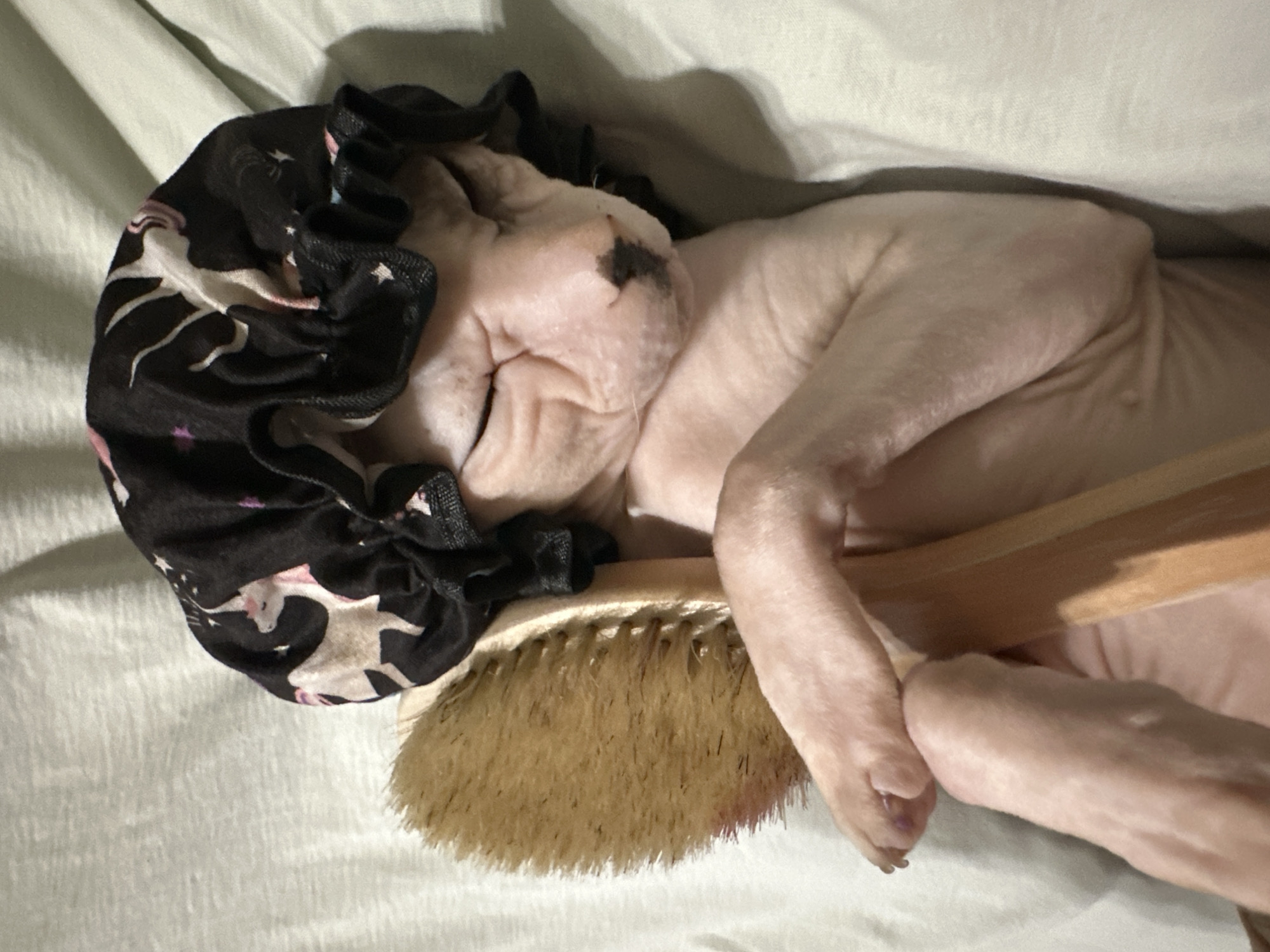 A Sphynx cat is lying down with its eyes closed, wearing a black bonnet decorated with unicorn and star patterns. The cat is holding a wooden-handled brush with its paw. The background consists of a light-colored, possibly textured surface. There are no identifiable landmarks or elements that would suggest a specific location in Togliatti, Russia.