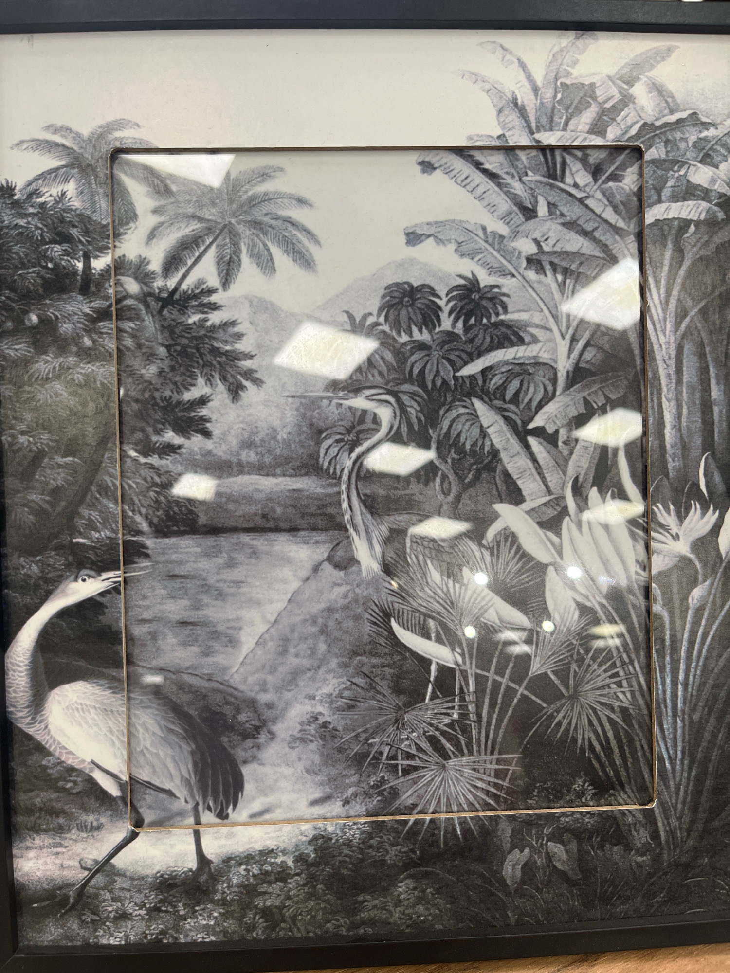 The image shows a framed black and white print depicting a tropical landscape with two herons. One heron is in the foreground on the left, facing towards the right with its head tilted down. The second heron is in the mid-ground, facing left with its head down and slightly to the right. Lush vegetation, including palm trees and large-leafed plants, fills the scene, with a body of water in the middle ground. The print is framed in a black frame and is displayed indoors. The location in Yerevan, Armenia, is not discernible from the image.