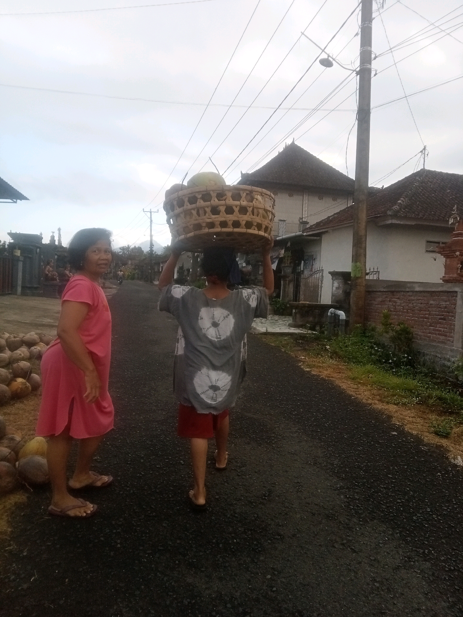 In the city of Mendoyo, Indonesia, a person walks away from the camera carrying a woven basket full of coconuts on their head. The basket is made of light-colored reeds and has a cross-hatch pattern. The person wears a grey t-shirt with circular white patterns and red shorts. To the left, a woman in a pink dress stands facing the camera, looking at the viewer. Her dress is knee-length with a slit up the side. In front of her, a pile of coconuts is visible. The scene takes place on a paved road with a grassy verge on the right. In the background, traditional Indonesian houses with dark tiled roofs and ornate details are visible, along with a utility pole and overhead wires. The sky is overcast and light.