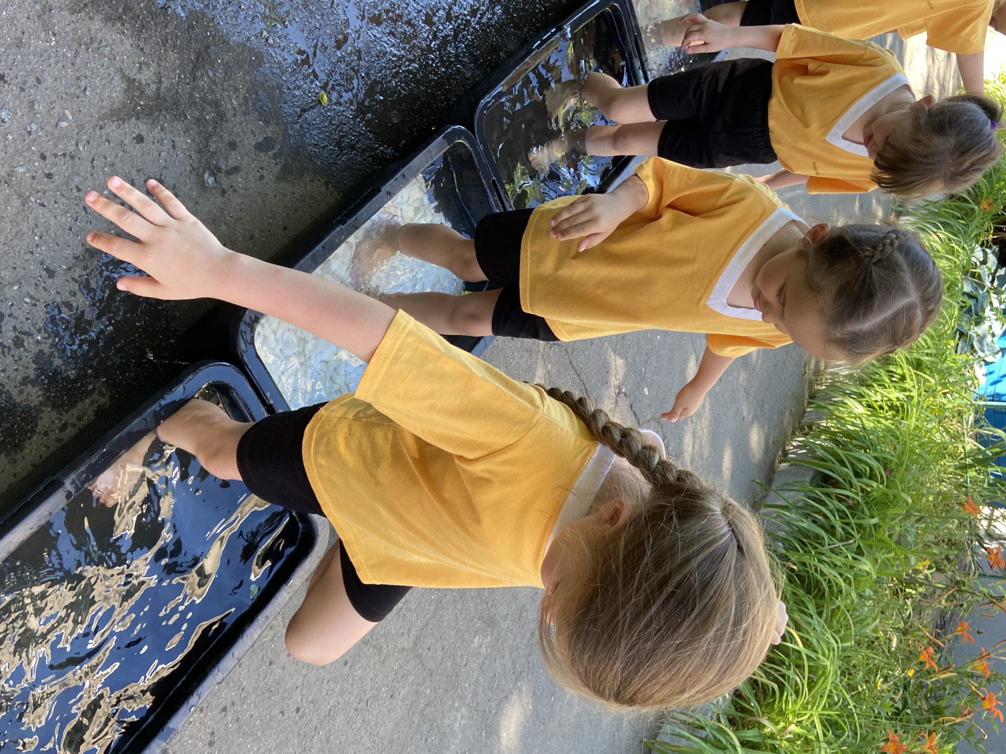 Three young girls, dressed in matching yellow shirts with white V-necks and black shorts, are standing in shallow black tubs filled with water. Their feet are submerged in the water, with ripples suggesting movement. The tubs are placed on a textured grey surface, possibly concrete or asphalt, which is wet in some areas, indicating the activity is outdoors. To the right of the tubs, lush green plants with orange flowers are visible, suggesting a garden or park setting. The lighting indicates it is daytime, with sunlight casting shadows and highlighting the water. The girls' expressions are not clearly visible due to their head positions, but their focus appears to be on the water. One girl in the foreground has her hair in a braid, while another in the middle has hers in a ponytail. A third girl, partially visible in the background, also has her hair tied back. The overall scene suggests a playful, outdoor activity, possibly a water sensory play experience for children. There is no visible text in the image.