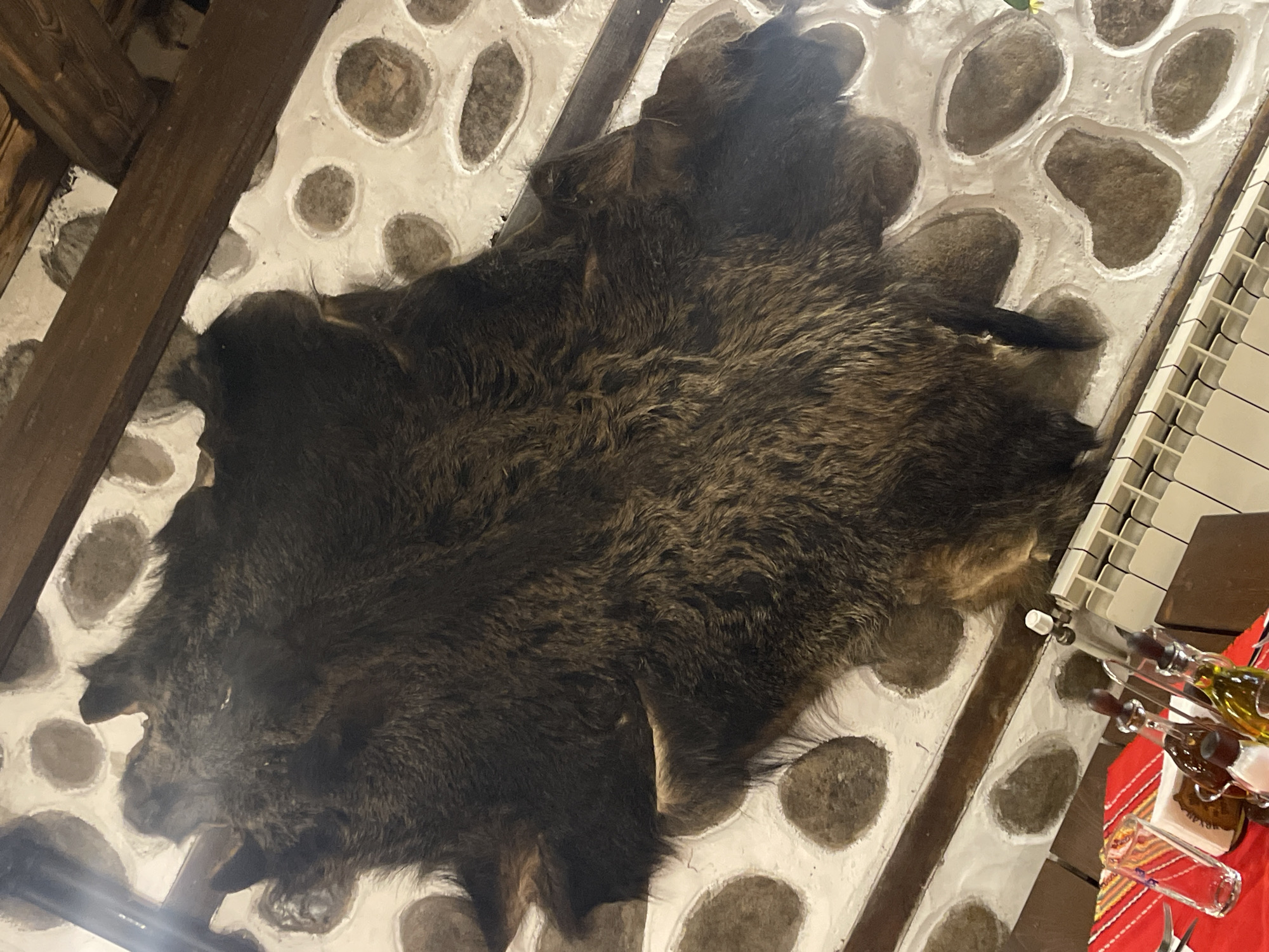 The image captures an interior scene, likely a restaurant or tavern, in Unknown, Unknown. The primary focal point is a large, dark brown, shaggy animal hide, possibly a wild boar or bear skin, which is stretched and mounted as a decorative element across a textured ceiling. The ceiling itself is composed of white, stucco-like material with irregularly shaped, smooth, brown stones embedded in a mosaic pattern. Dark brown wooden beams run across the ceiling, providing structural support and framing the mounted hide. In the lower left quadrant, a table is visible, draped with a red and white striped tablecloth featuring a traditional pattern. On the table, there is a clear glass, a white napkin, and a metal condiment holder containing multiple glass bottles, including one with a clear liquid (likely vinegar) and another with an amber liquid (likely olive oil), alongside a small white shaker. A segment of a white radiator is partially visible in the lower right portion of the frame. No individuals are present in the image.