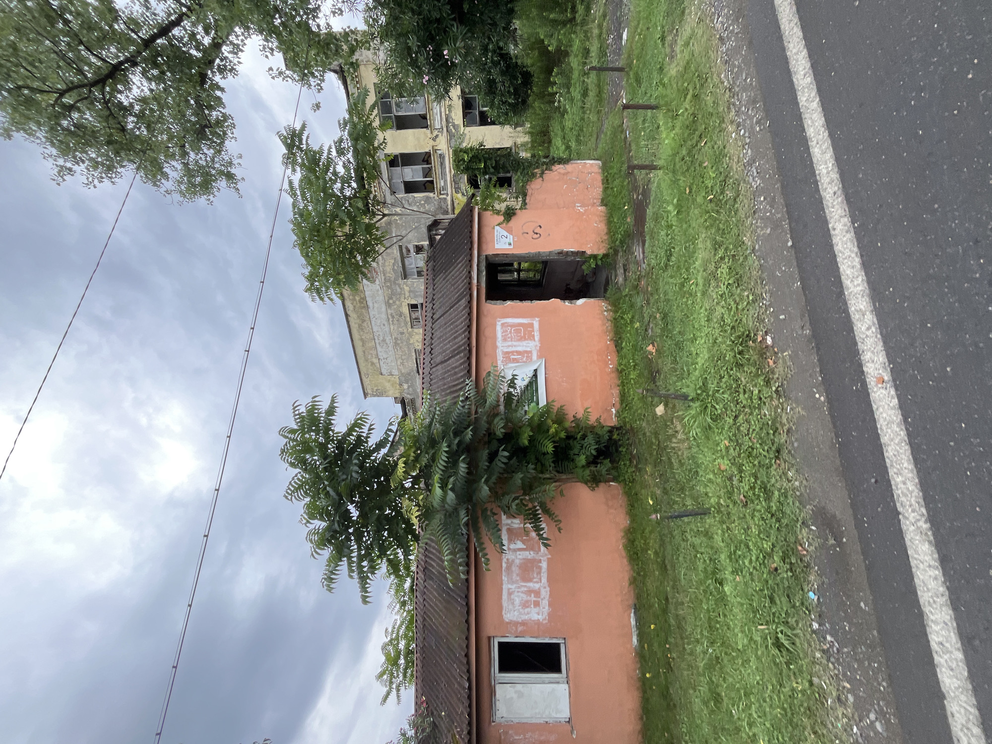 The image depicts an overcast day in Poti, Georgia, near an abandoned, peeling yellow multi-story building and a small, dilapidated orange structure with a corrugated metal roof. The smaller building has an open doorway, a window with white shutters, and faded white markings on its exterior wall. A tree with green foliage grows directly against the orange structure. In the foreground, a paved road with a white line runs horizontally across the bottom of the frame, with grass and debris bordering the road. Electrical wires are visible stretching across the sky. The scene appears to be an abandoned or neglected area, possibly on the outskirts of the city.