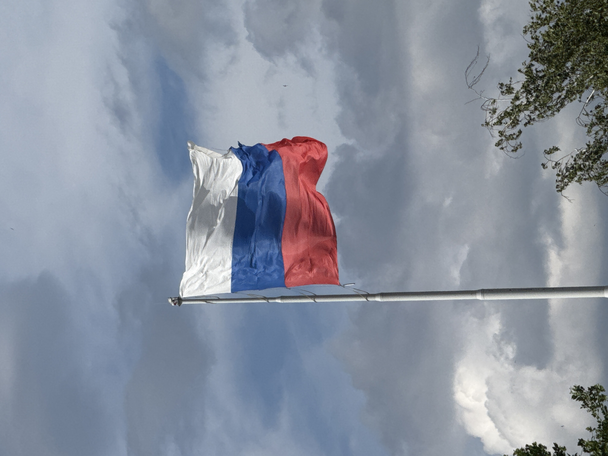 A Russian flag, featuring horizontal white, blue, and red stripes, waves from a tall, light-colored flagpole positioned centrally against a dynamic, partly cloudy sky. The sky displays a mixture of white and grey clouds interspersed with clear blue patches. The upper portion of the flagpole is visible, terminating with a finial. Green foliage from trees is present in the lower left and lower right corners of the frame. A small, dark shape, consistent with a bird, is visible in flight in the upper right quadrant. The scene is illuminated by natural daylight. The location is in the city of Unknown, Unknown.