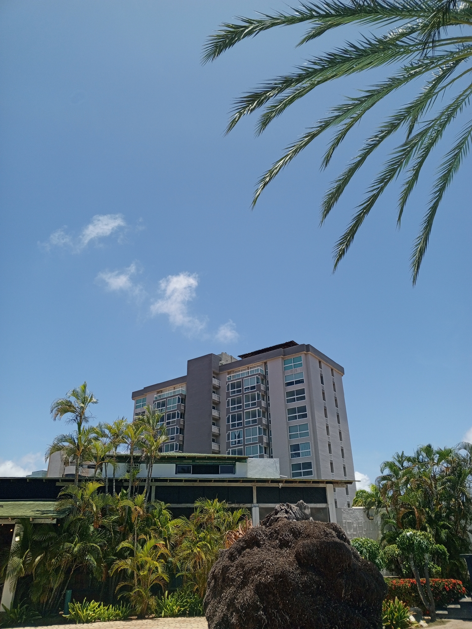 The image shows a tall, modern hotel building in Porlamar, Venezuela, framed by tropical vegetation and a clear blue sky. The building is primarily gray with numerous glass windows and several balconies. In the foreground, a large dark mass, possibly a rock or pile of organic material, sits amidst lush green foliage. Palm trees and other tropical plants are scattered around the base of the building. The bright, cloud-flecked sky and a portion of a palm frond in the upper right corner add to the tropical ambiance. No people are visible in the image.