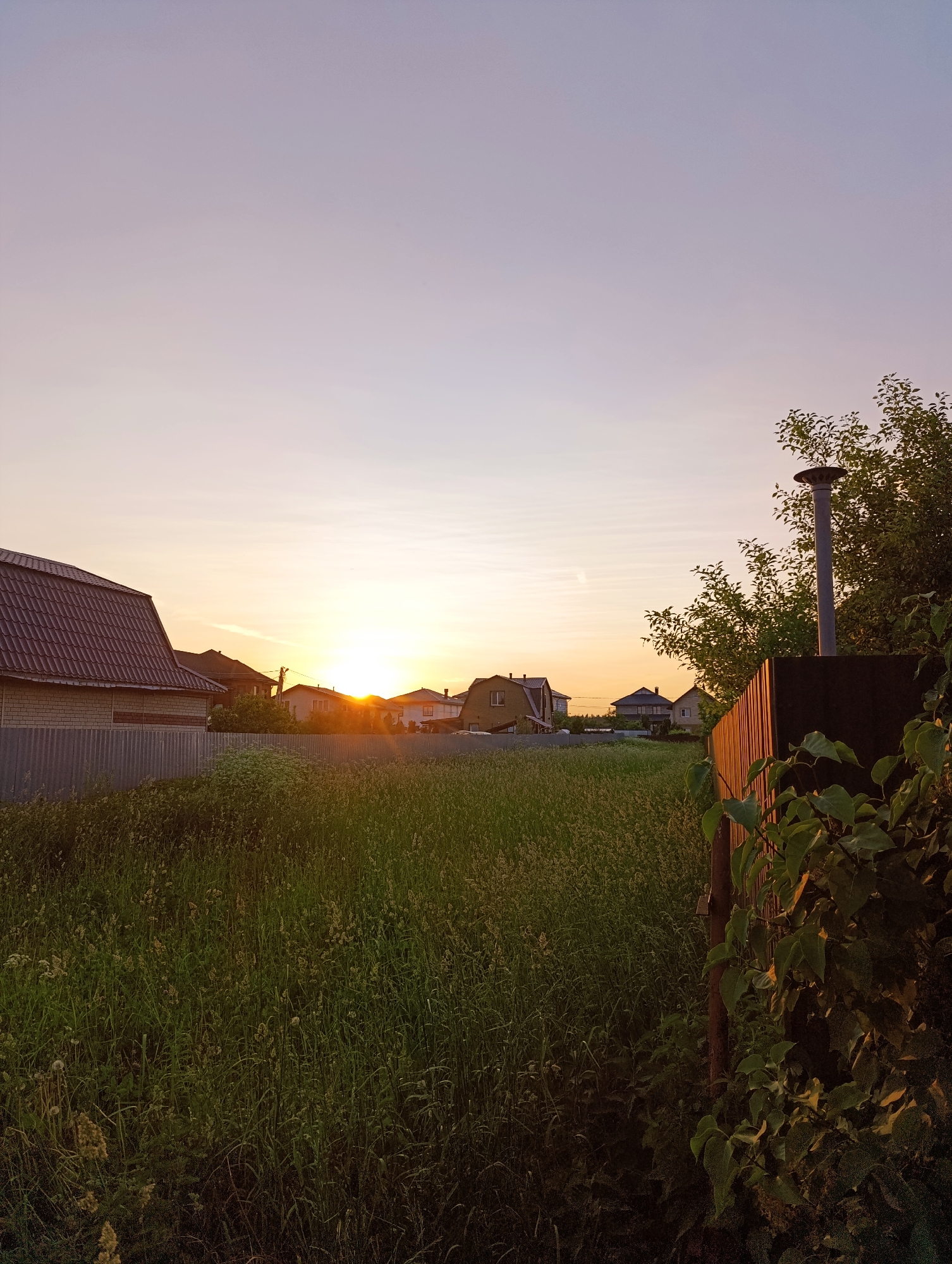 The image depicts a sunset scene in a suburban or rural area. The sky is a gradient of pale pink and purple, with the bright orange sun low on the horizon, casting a warm glow. In the foreground, tall green grass and vegetation fill the lower portion of the frame. To the left, a house with a dark tiled roof and a light-colored brick wall is visible behind a metal fence. Several other houses are scattered in the middle ground, some appearing to be single-story structures with light-colored facades and dark roofs. A wooden fence, painted a reddish-brown, runs along the right side of the image. A dark-colored rectangular structure, possibly a shed or a base for something, is positioned next to the wooden fence. A tall, grey metal pipe or chimney rises from this structure, topped with a circular cap. Lush green leaves and vines grow around the wooden fence and the dark structure. The overall environment suggests a residential area at the edge of a field, experiencing the golden hour of sunset.