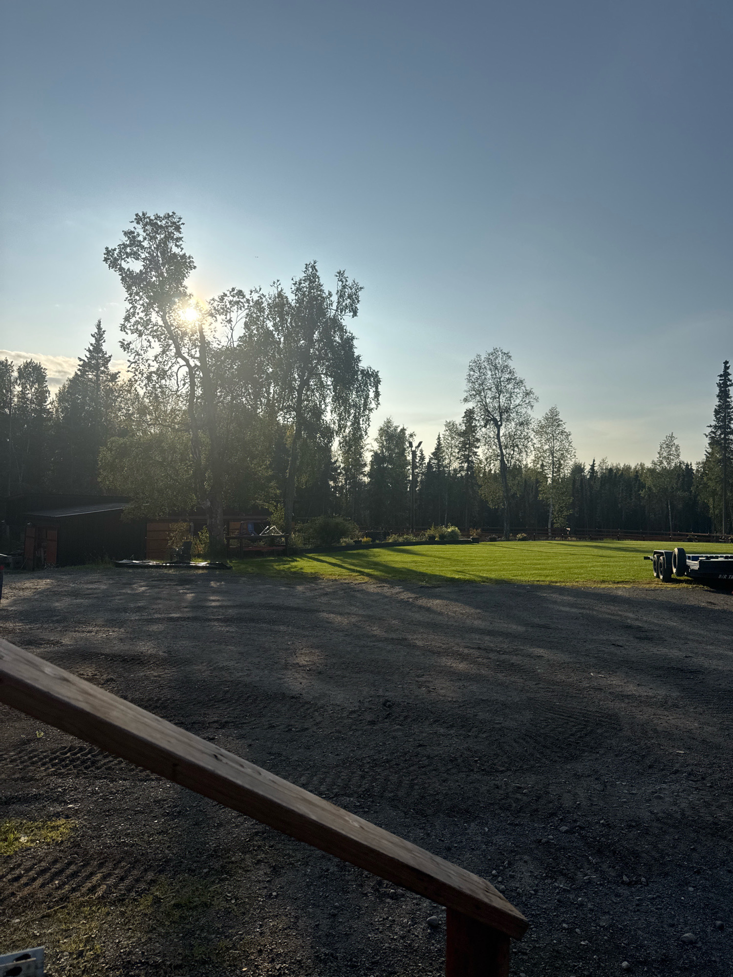 The image shows a view of a rural or semi-rural area in Anchorage, United States of America, likely during the late afternoon or early morning due to the low angle of the sun. The foreground consists of a gravel area with a wooden railing in the lower left corner. Beyond the gravel is a well-maintained, bright green lawn. In the middle ground, there are several trees, some of which are silhouetted against the bright sun, and two small structures that appear to be sheds or outbuildings. A wooden fence runs along the edge of the lawn. The background is dominated by a dense forest of evergreen and deciduous trees, indicative of the natural landscape found in Anchorage. In the far right of the image, a dark-colored trailer with two wheels is visible on the gravel. The sky is a clear blue with a few wispy clouds. There are no people visible in the image.
