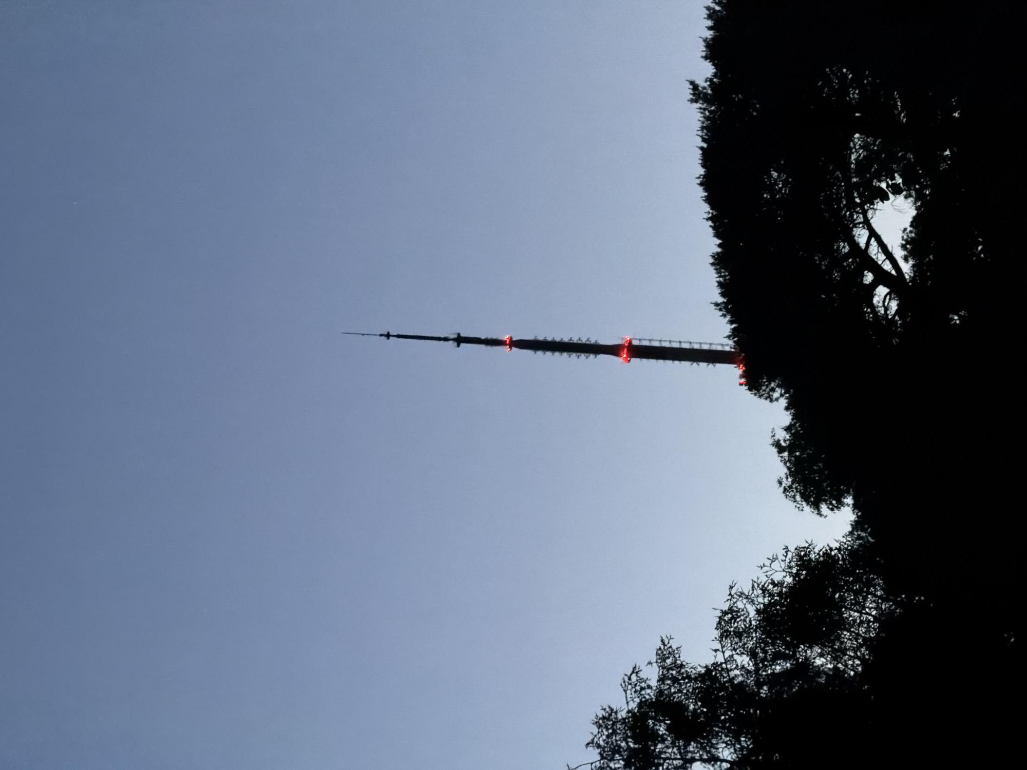 The image captures the Tallinn TV Tower in Tallinn, Estonia, during twilight conditions. The prominent telecommunications tower, rendered in a dark silhouette against the sky, occupies the central to right portion of the frame. Two distinct red obstruction lights are active on the tower's structure. The lower third of the image is dominated by the dense, dark silhouettes of trees, obscuring the base of the tower and the immediate foreground. The sky above is a clear, gradient blue, transitioning from lighter tones near the horizon to a slightly deeper hue overhead. No individuals, animals, or specific activities are observable.