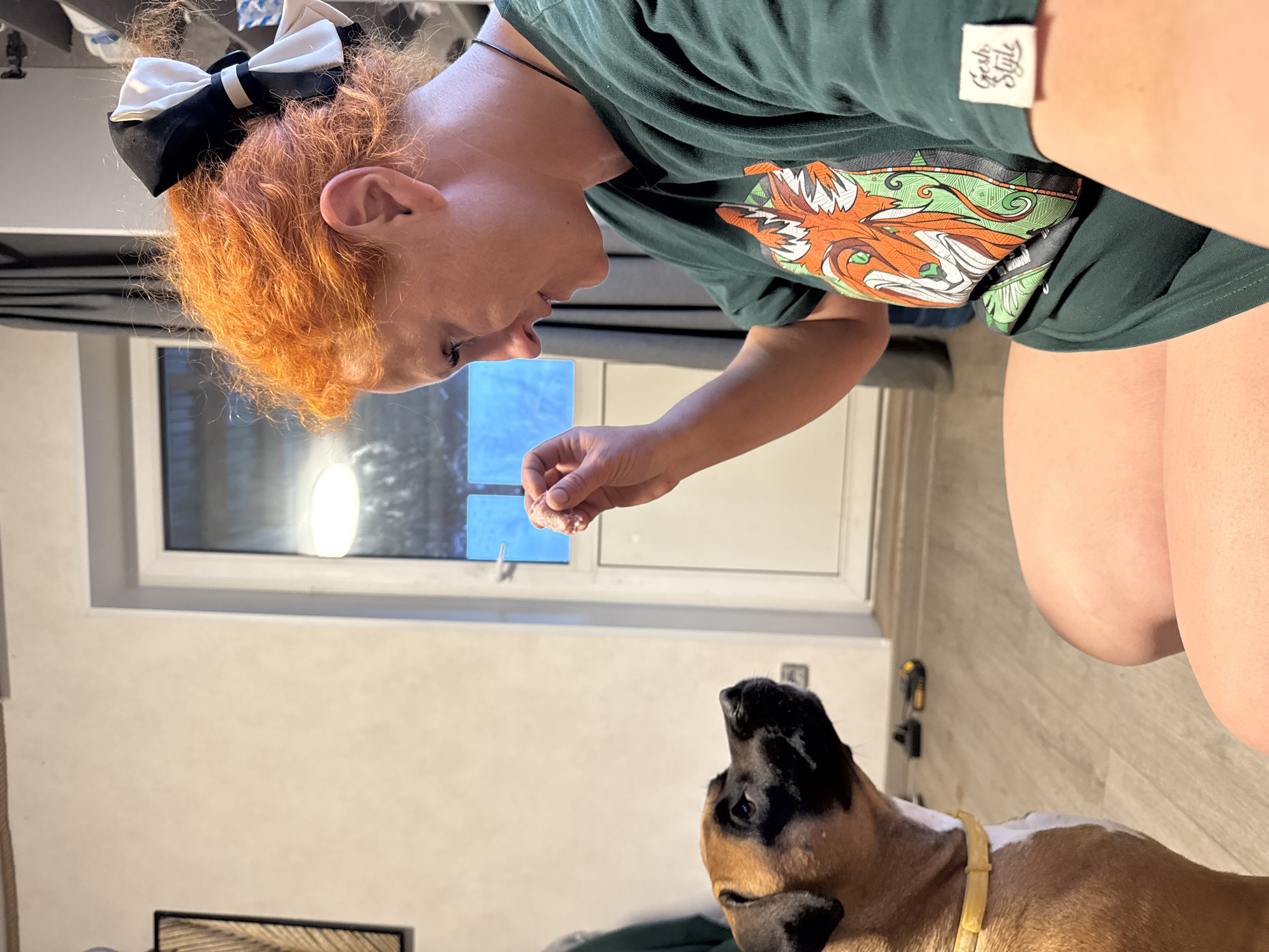 A woman with red hair pulled back with a black and white bow is holding a piece of meat over a brown and black dog. The woman is wearing a green t-shirt with a fox design and a small tag that says "Fresh Style". She is standing in front of a window with blue translucent stickers on it. The floor is light-colored and there is a dark object on the wall. The image was taken indoors, and the location cannot be determined from the image.